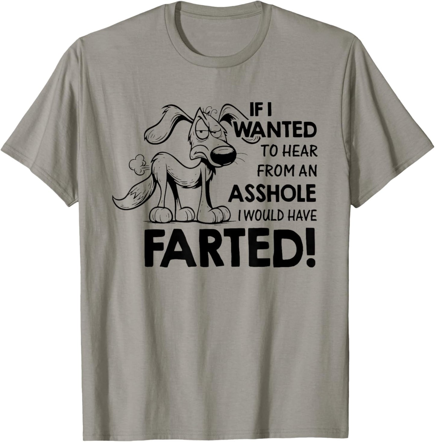 If I Wanted to Hear from an Asshole I Would Have Farted T-Shirt - T-Shirt | Sand