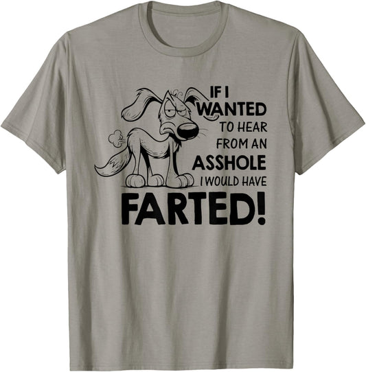 If I Wanted to Hear from an Asshole I Would Have Farted T-Shirt - T-Shirt | Sand