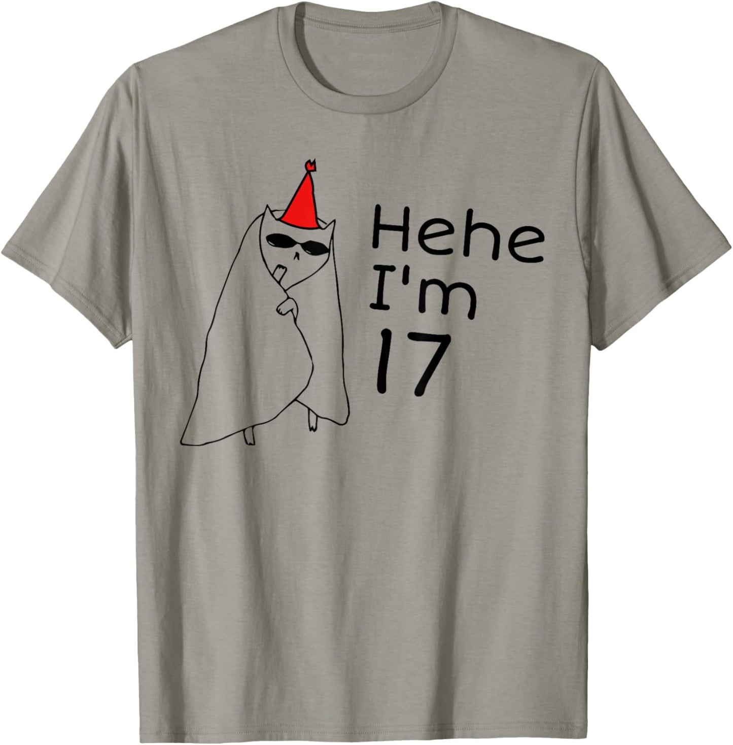 17th Birthday Party Funny 17 Years Old Birthday Teens T-Shirt - T-Shirt | Sand