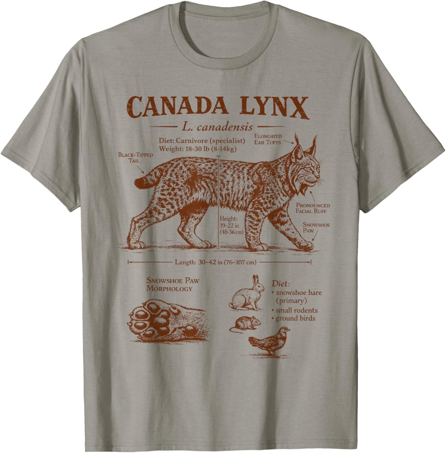 Canada Lynx Anatomy Wildlife Wild Animal Lover Zoologist T-Shirt - T-Shirt | Sand