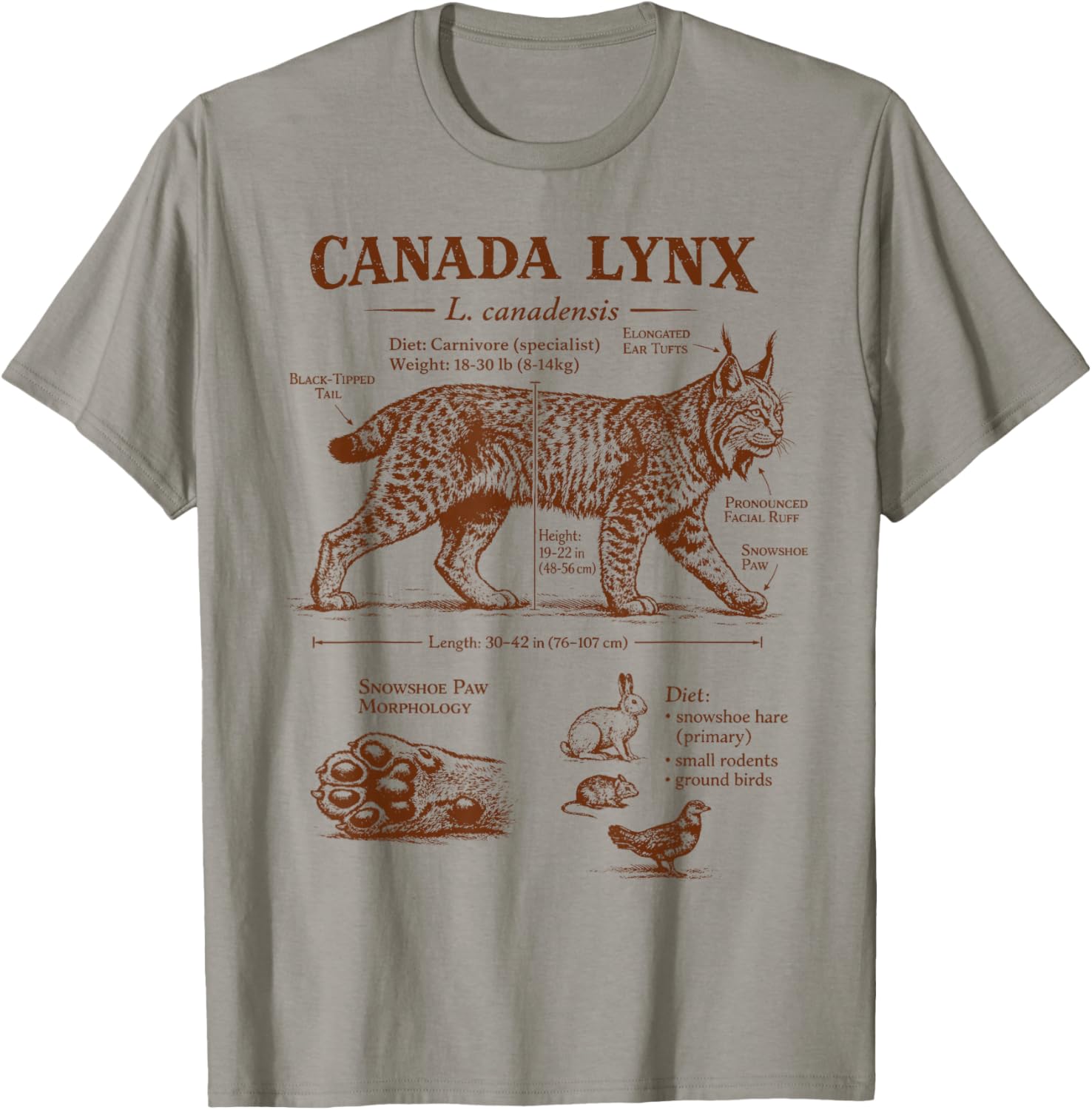 Canada Lynx Anatomy Wildlife Wild Animal Lover Zoologist T-Shirt - T-Shirt | Sand
