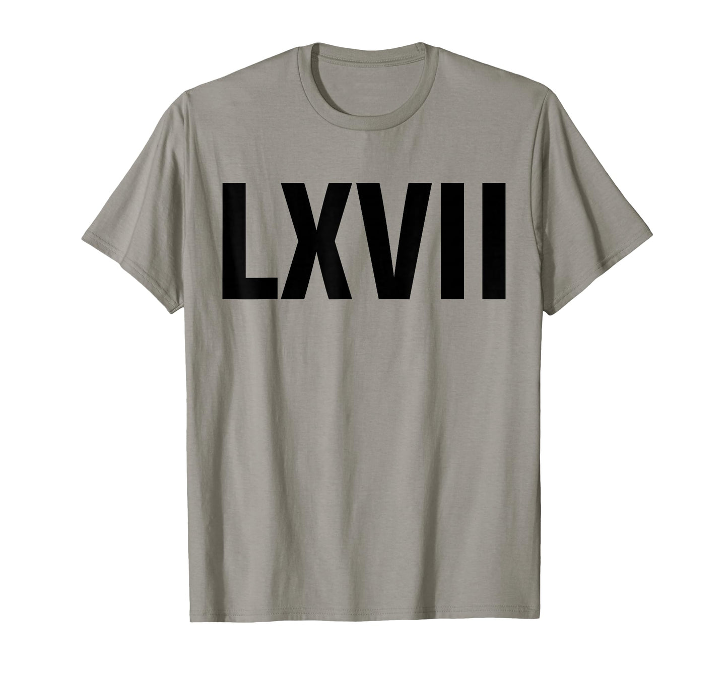 Roman 67 Year Old Funny Teacher 67th Birthday LXVII Meme 6 7 T-Shirt