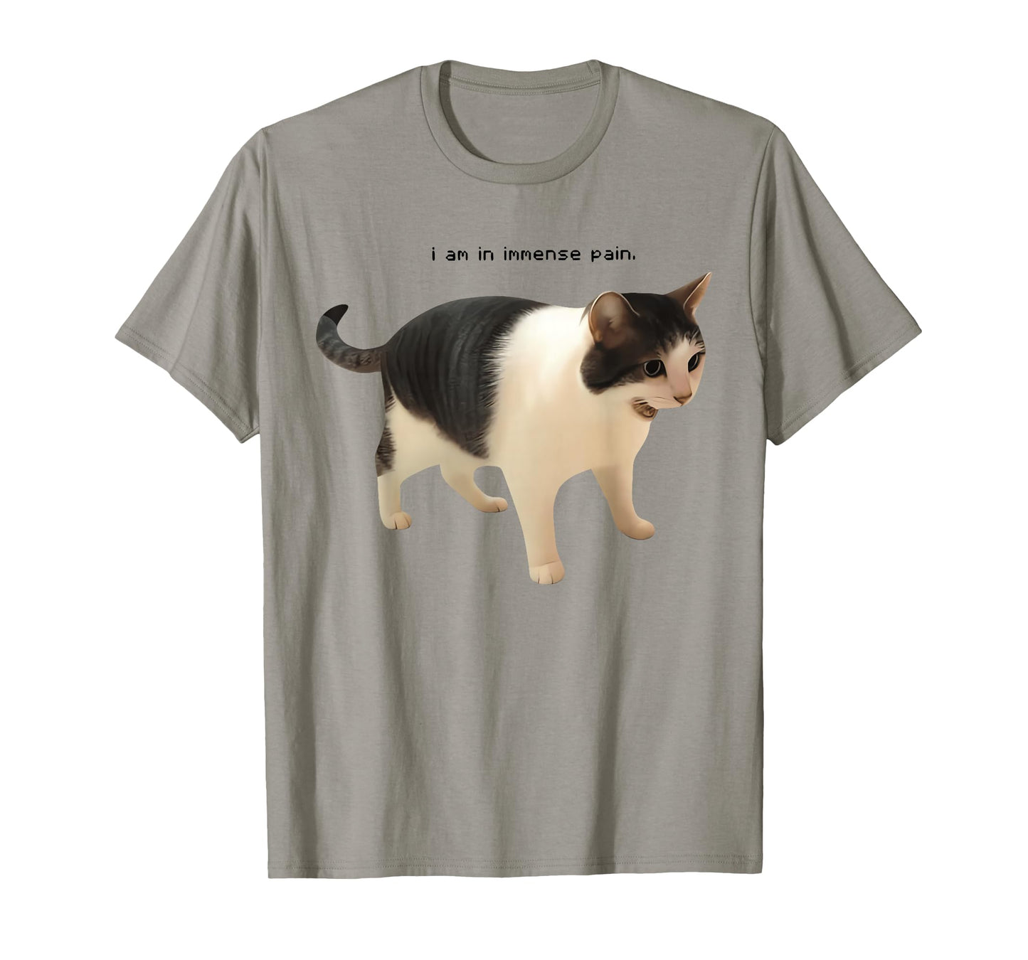 I Am in Immense Pain Funny Cat Meme Quote T-Shirt