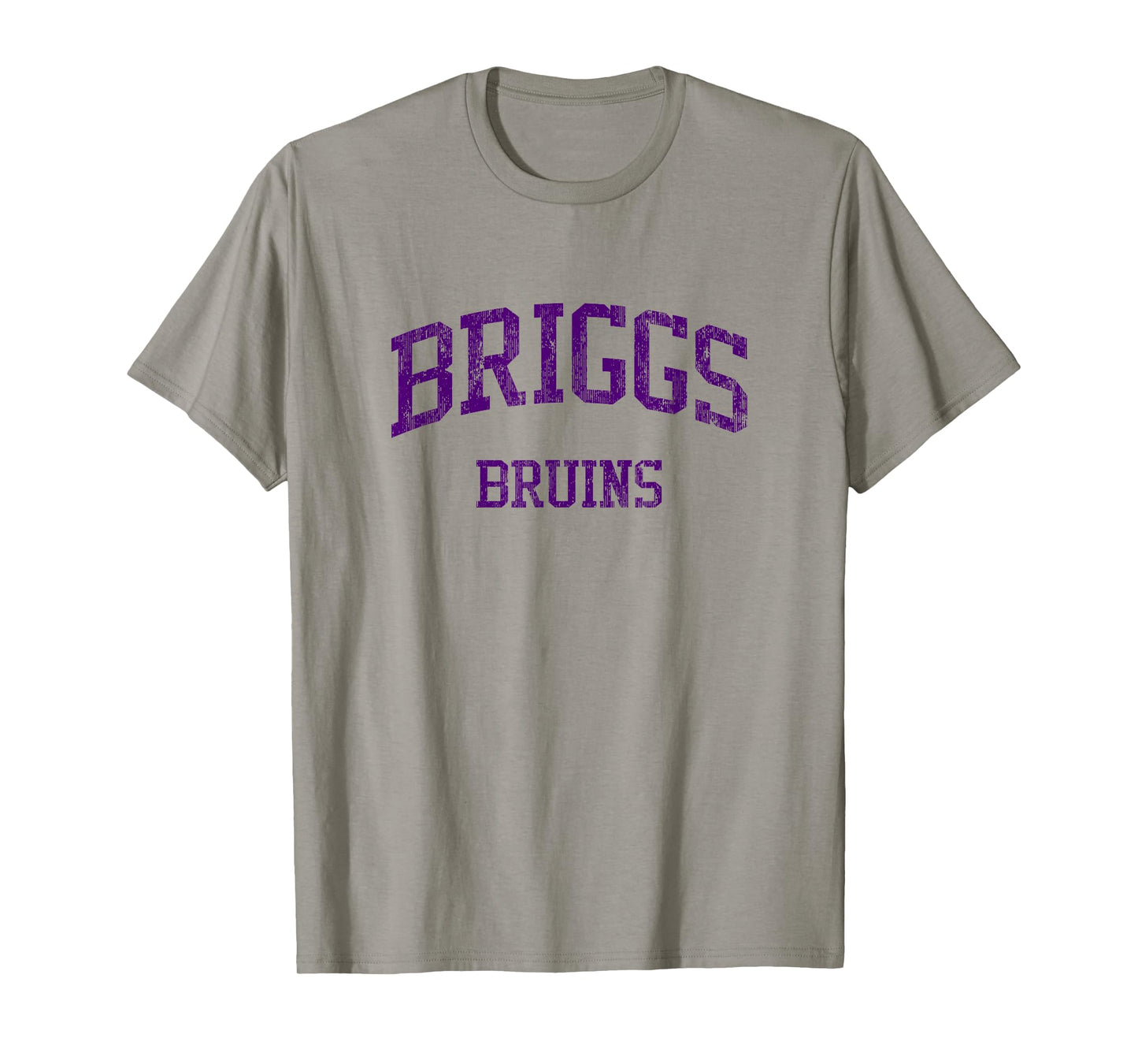 Briggs High School HS Columbus OH Vintage Sports T-Shirt