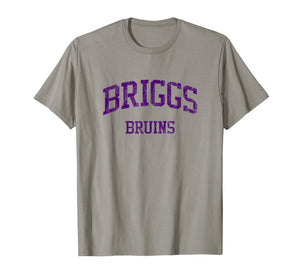 Briggs High School HS Columbus OH Vintage Sports T-Shirt