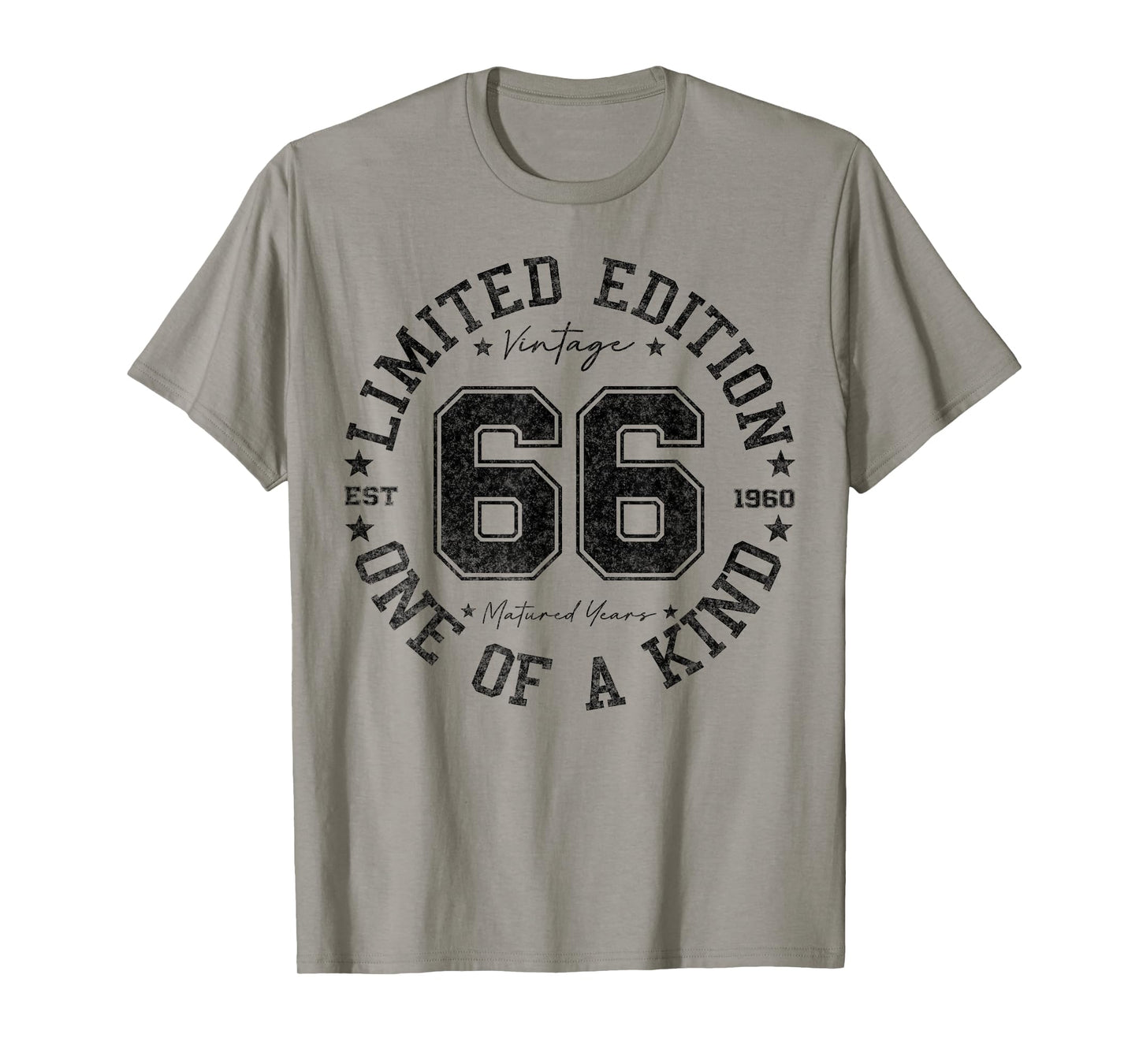 66 Year Old Gifts Vintage 1960 Limited Edition 66th Birthday T-Shirt