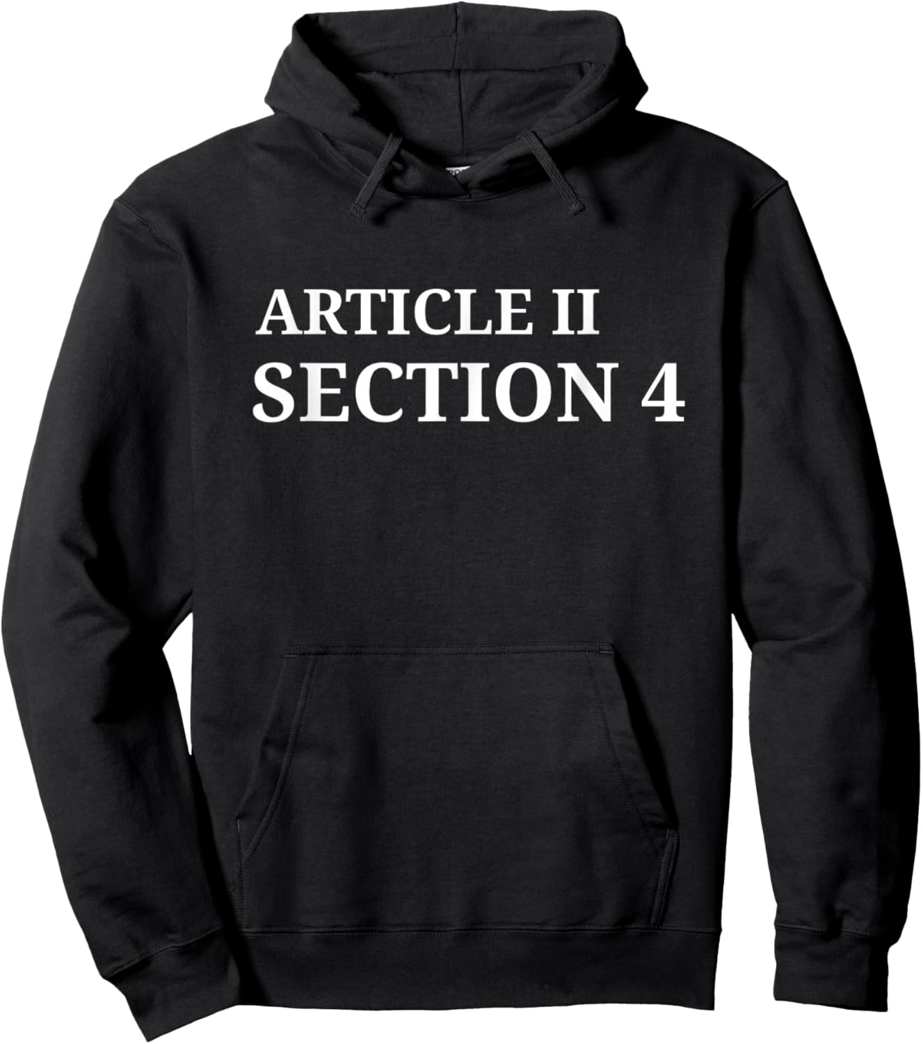 Article 2 Section 4 Constitution Saying Hoodie - Hoodie | Black