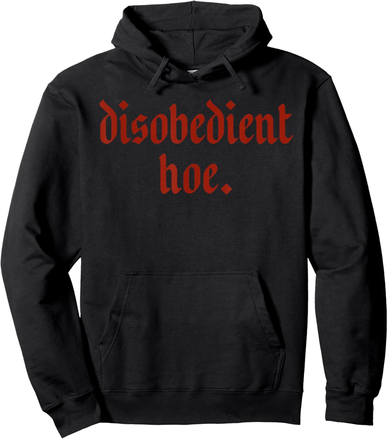 Disobedient Hoe Funny Design Hoodie - Hoodie | Black