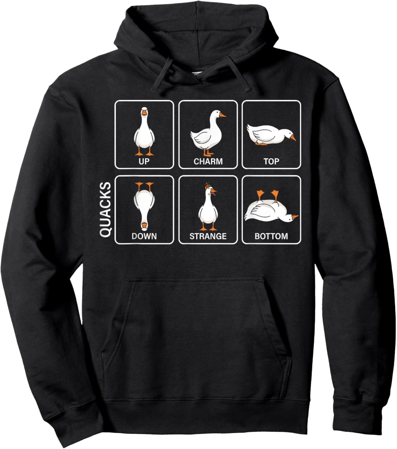 Funny Physics Pun Duck Quacks Meme Cute Goose Graphic Hoodie - Hoodie | Black