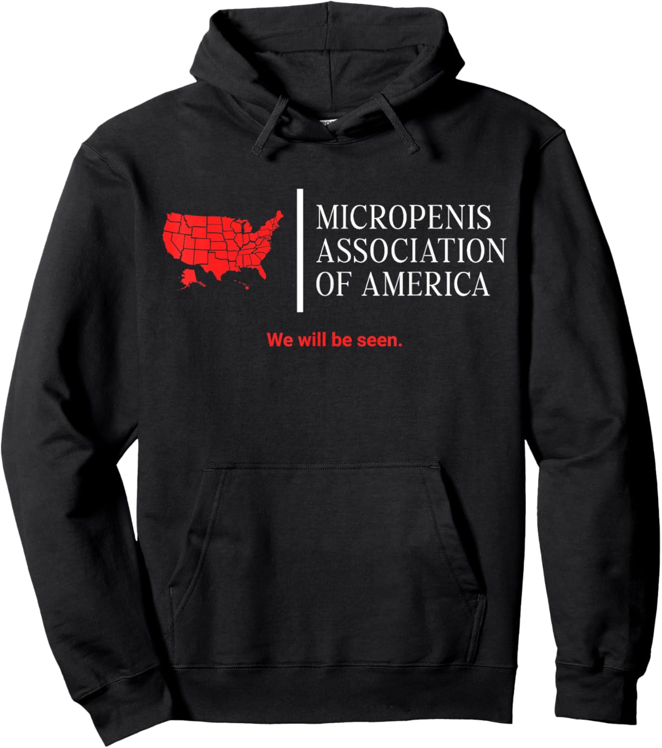 Micropenis Association Funny Embarrassing Bachelor Party Hoodie - Hoodie | Black