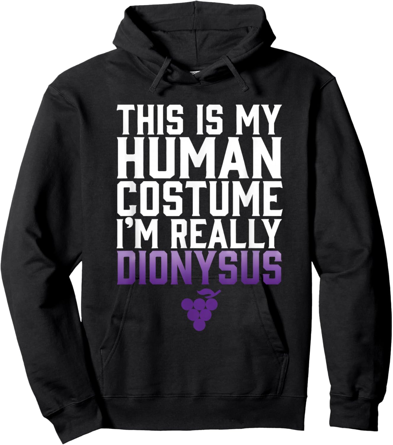 This is My Human Costume Im Really Dionysus Hoodie - Hoodie | Black