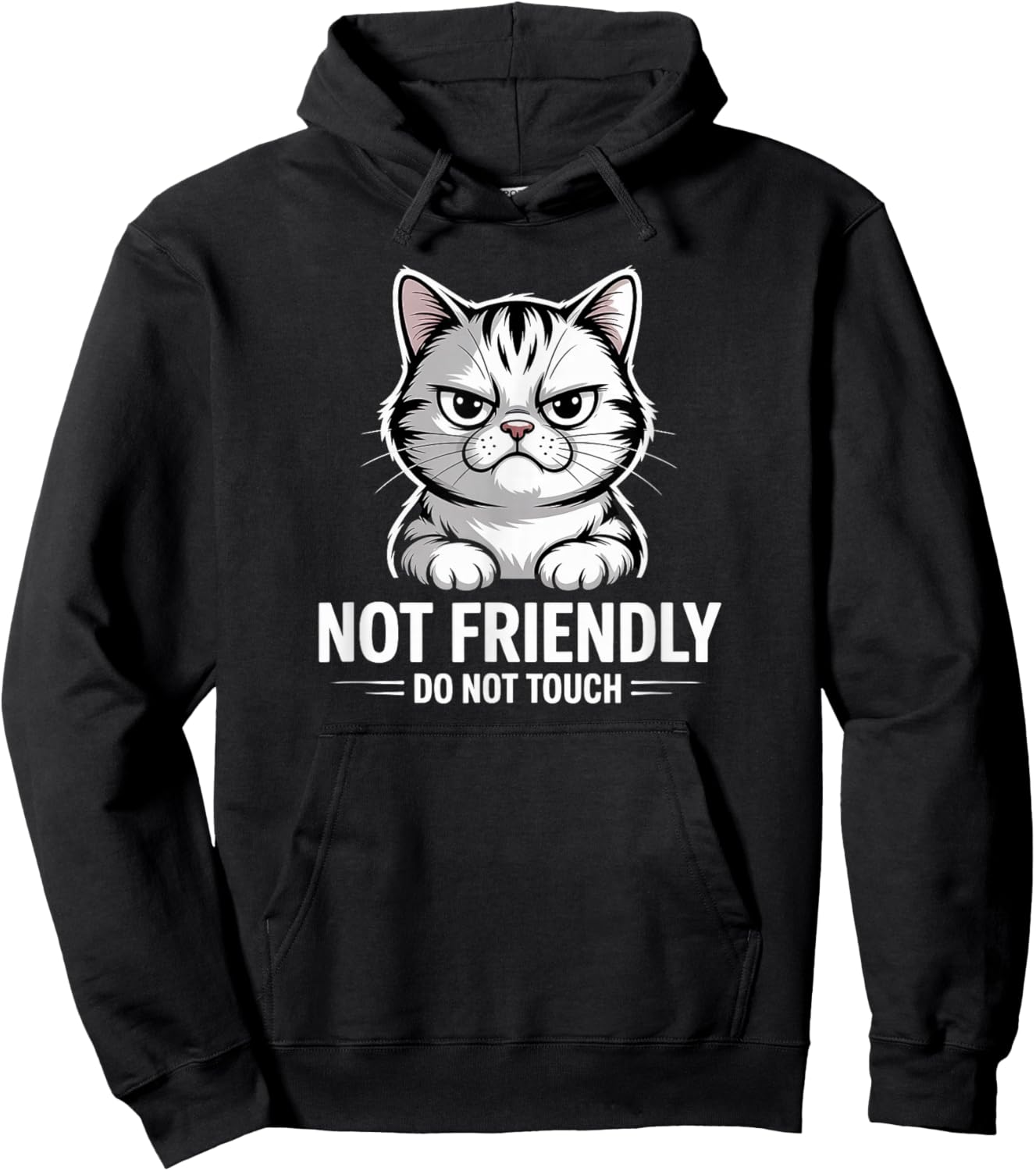 Sarcastic Cat Not Friendly, Do Not Touch Funny Cat Lover's Hoodie - Hoodie | Black