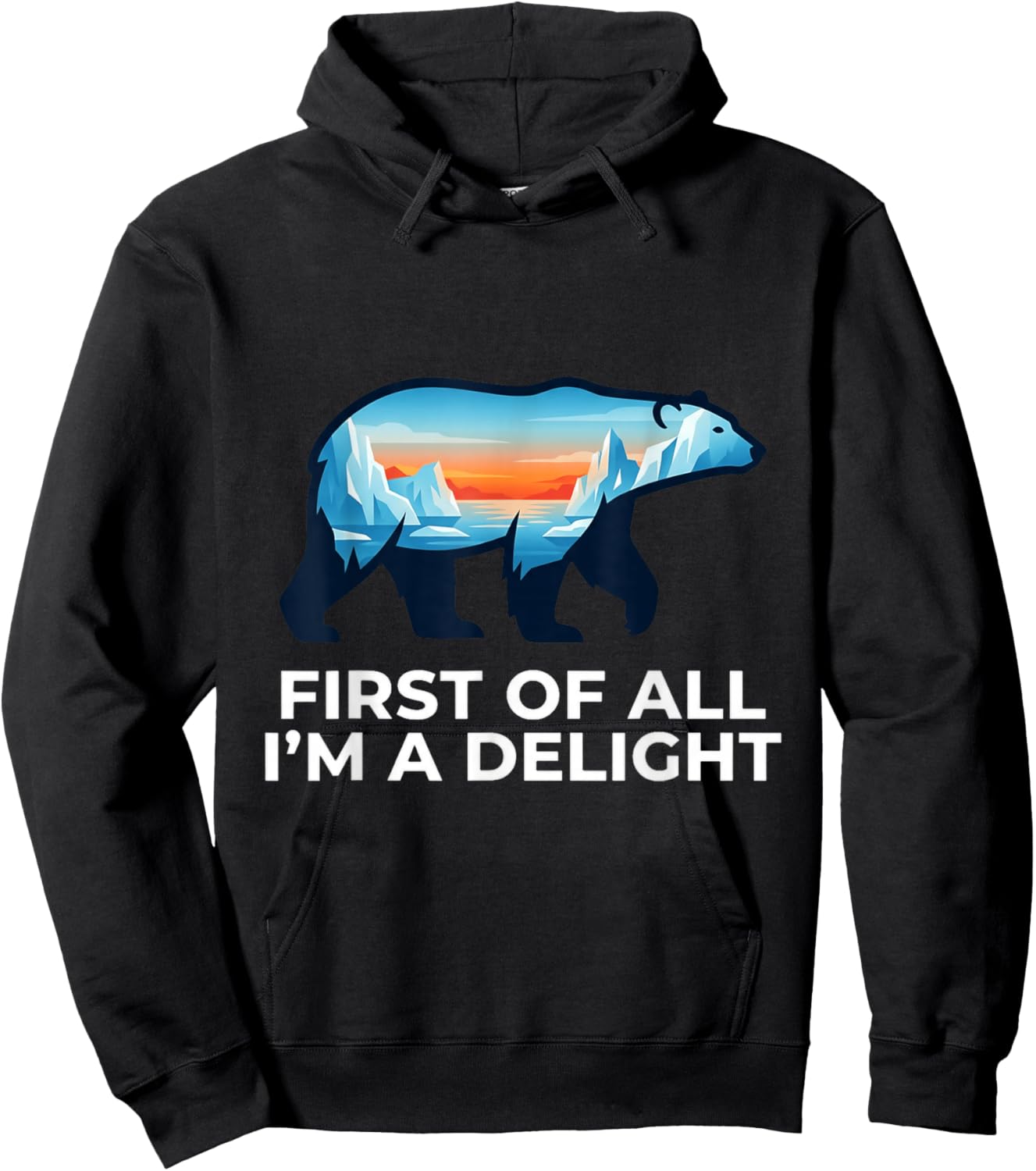 First of All Im A Delight Bear Enthusiast Hoodie - Hoodie | Black