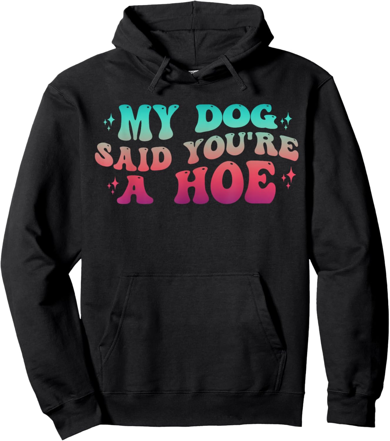 Dog Lover Gag Groovy My Dog Said You're A Hoe Dog Owner Hoodie - Hoodie | Black