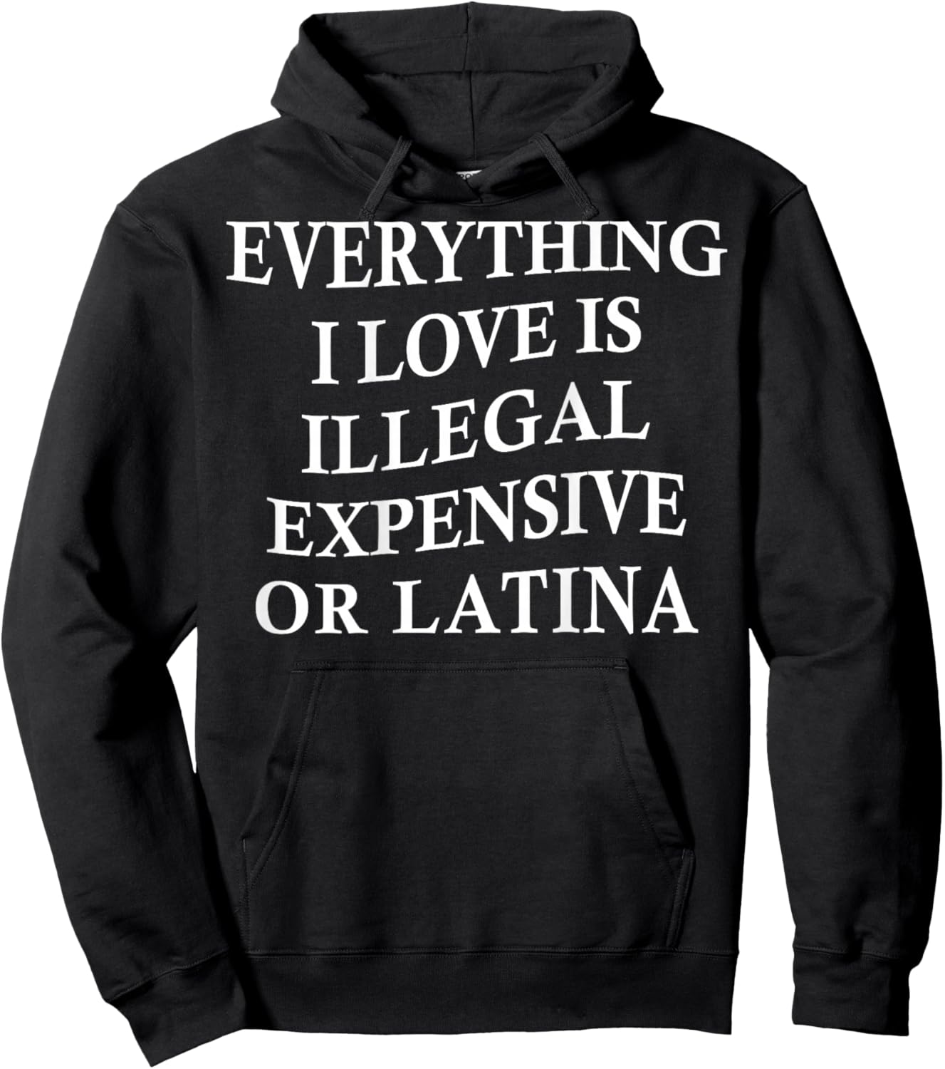 Everything I Love is Illegal Expensive Or Latina On Back Hoodie - Hoodie | Black