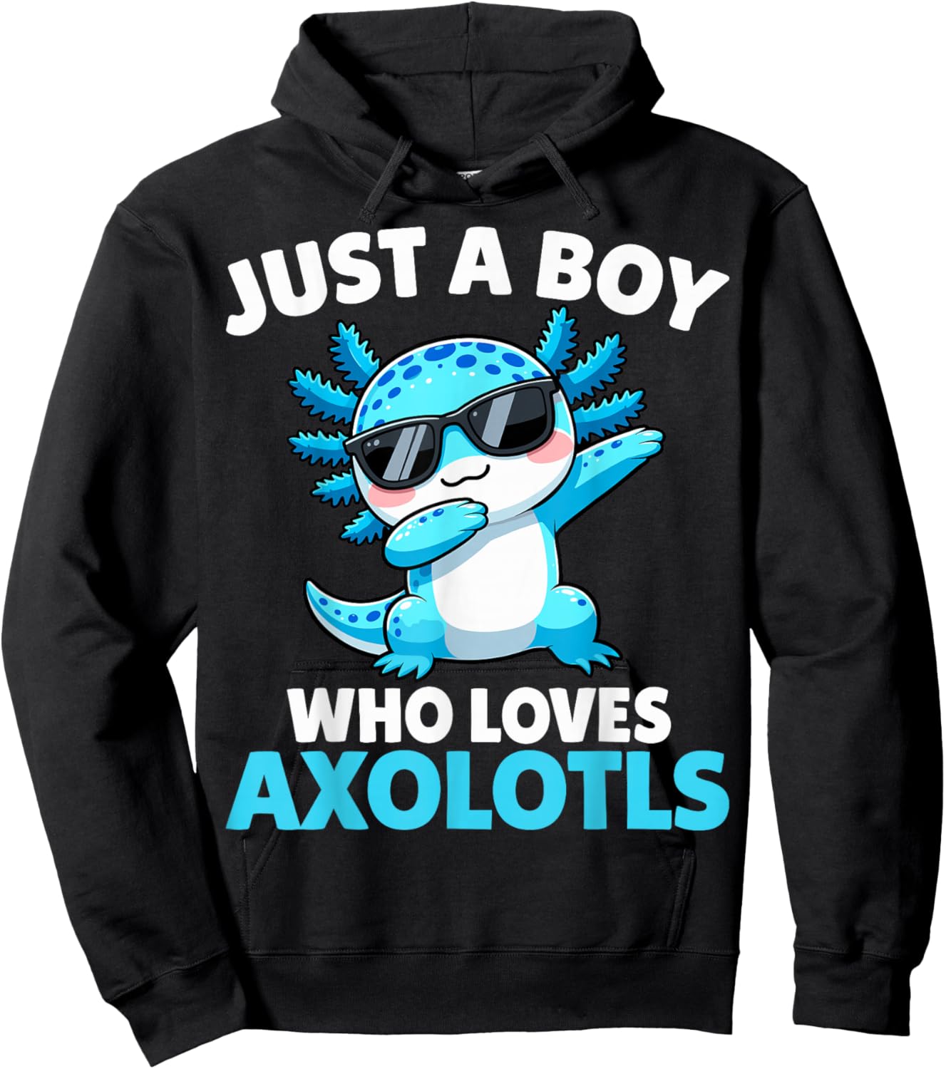 Just A Boy Who Loves Axolotls Hoodie - Hoodie | Black