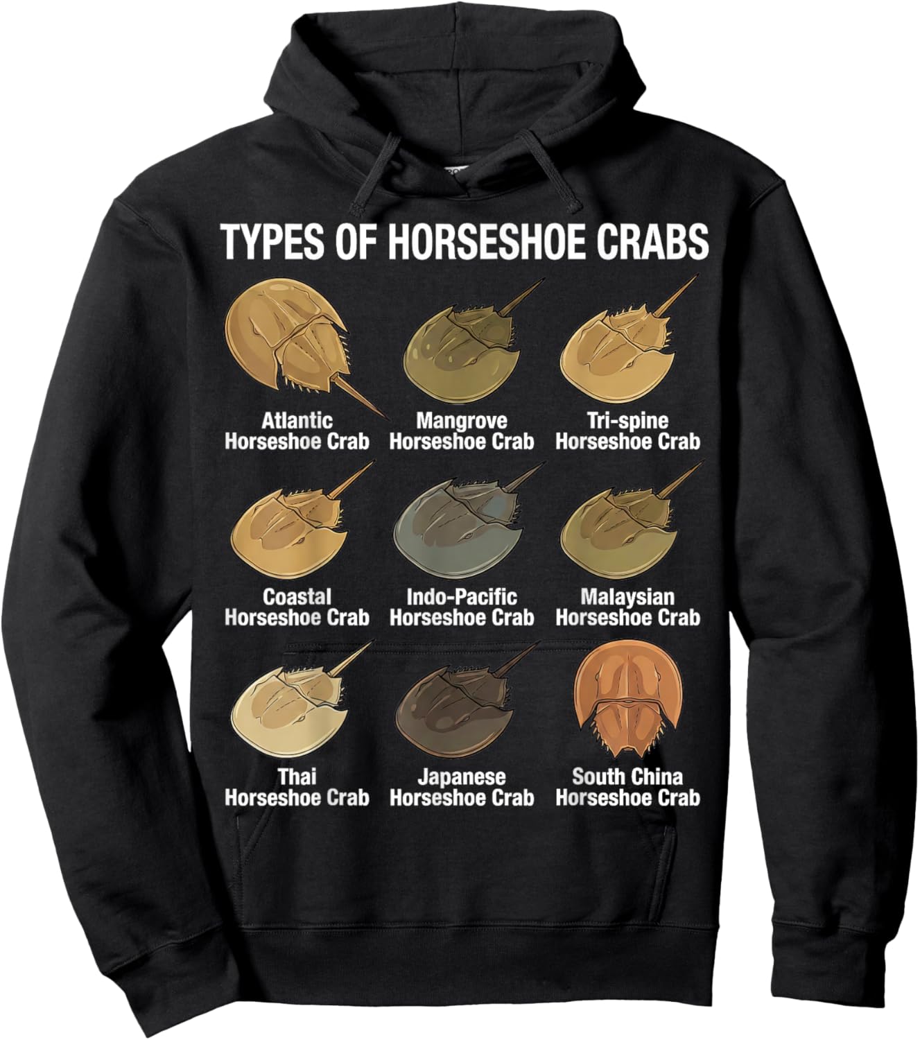 Types of Horseshoe Crabs – Diverse Horseshoe Crab Species Hoodie - Hoodie | Black