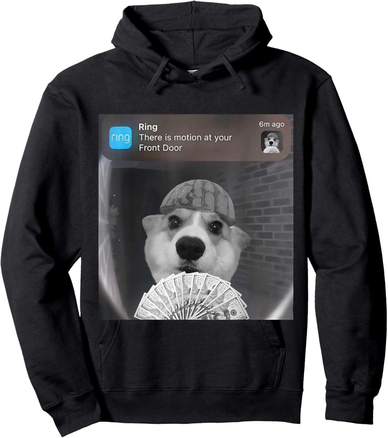 Ring There is Motion at Your Front Door Funny Meme Cute Dog Hoodie - Hoodie | Black