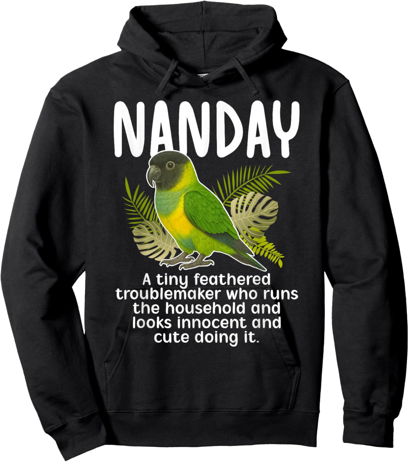 Nanday Definition Nanday Conure Owner Nanday Parakeet Lover Hoodie - Hoodie | Black