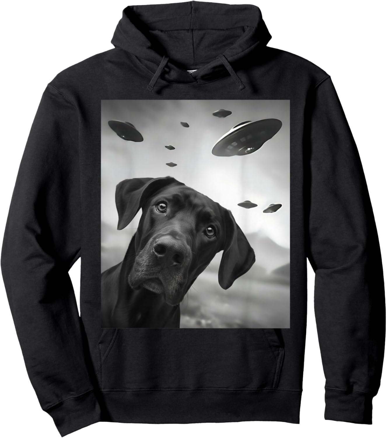 Funny Black Great Dane Dog UFO Hoodie - Hoodie | Black