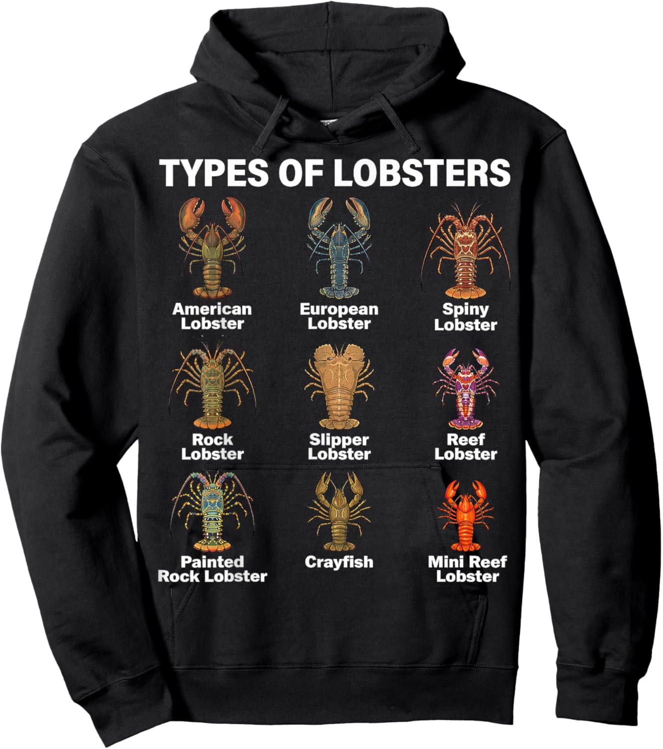 Types of Lobsters, Lobster Species Chart Hoodie - Hoodie | Black