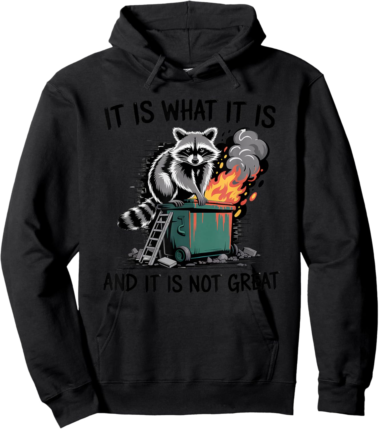 Raccoon It is What It is and It's Not Great Funny Sarcastic Hoodie - Hoodie | Black