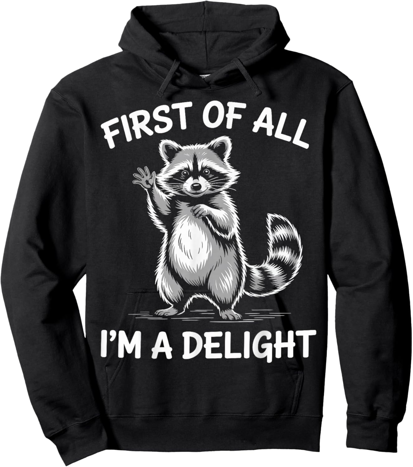 First of All I’m A Delight Funny Raccoon Design Hoodie - Hoodie | Black