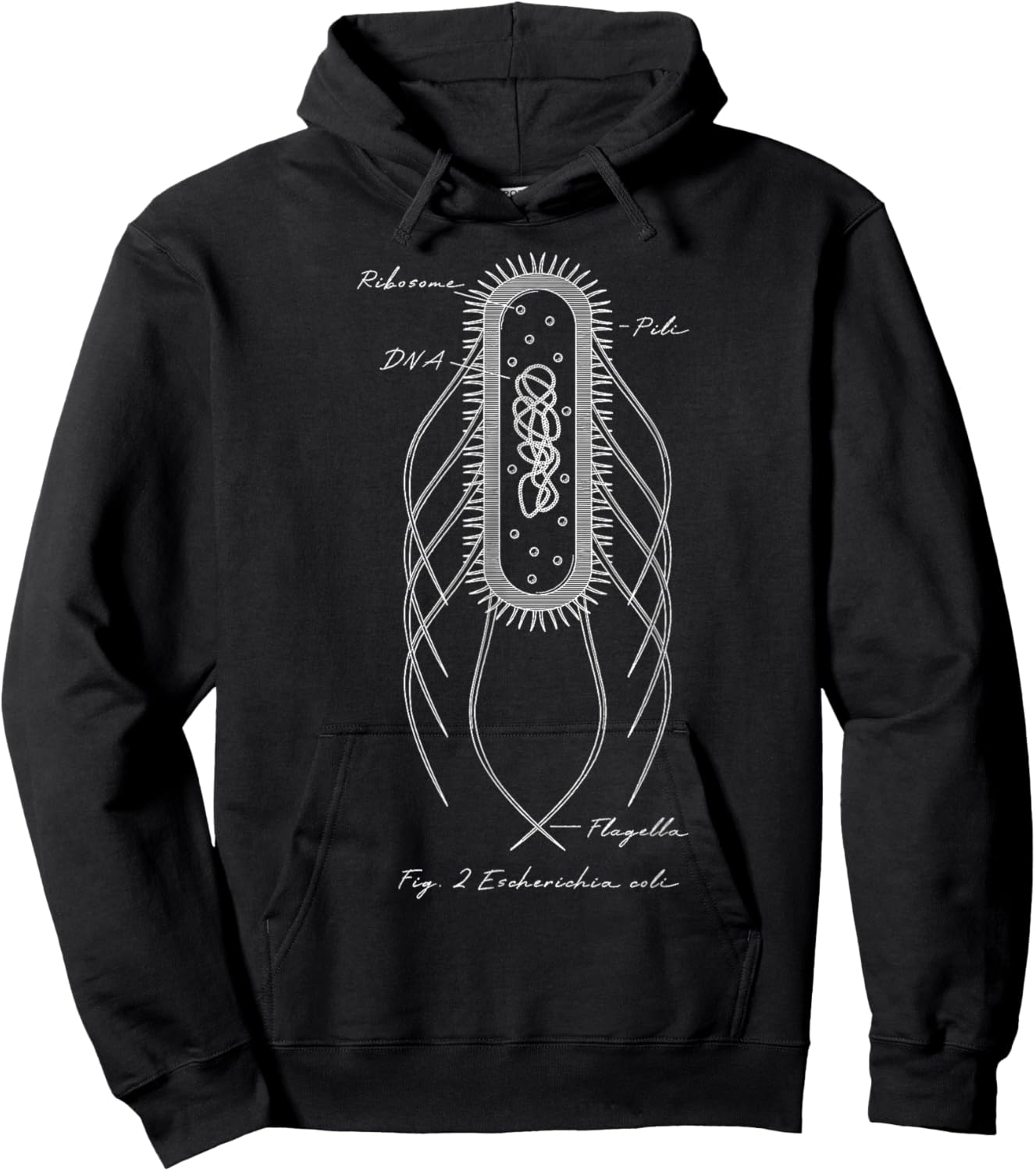 Retro E. coli Schematic Diagram Microbiology Science Teacher Hoodie - Hoodie | Black