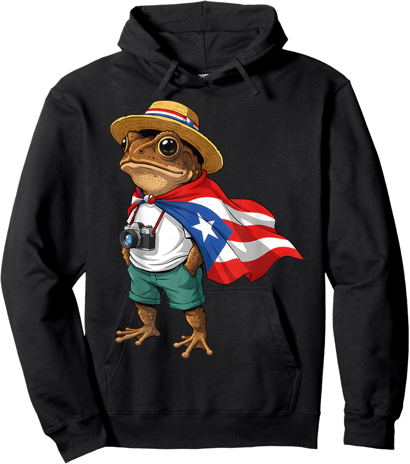 Coqui Frog Puerto Rico Flag Puerto Rican Taino Boricua Hoodie - Hoodie | Black