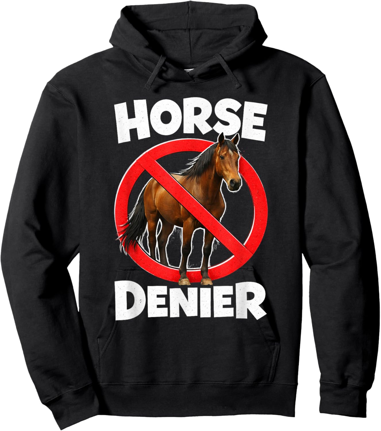Horse Denier Conspiracy Theory Absurd Stupid Funny Gen Z Hoodie - Hoodie | Black
