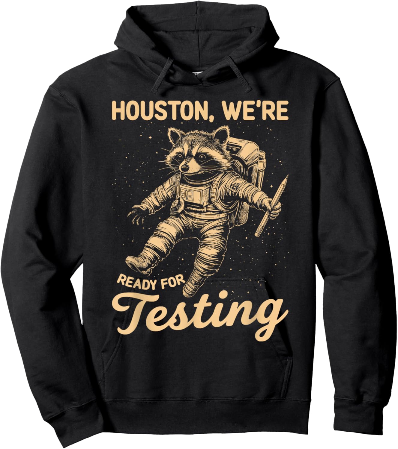 State Testing Teacher Life Funny Racoon Teacher Test Day Hoodie - Hoodie | Black