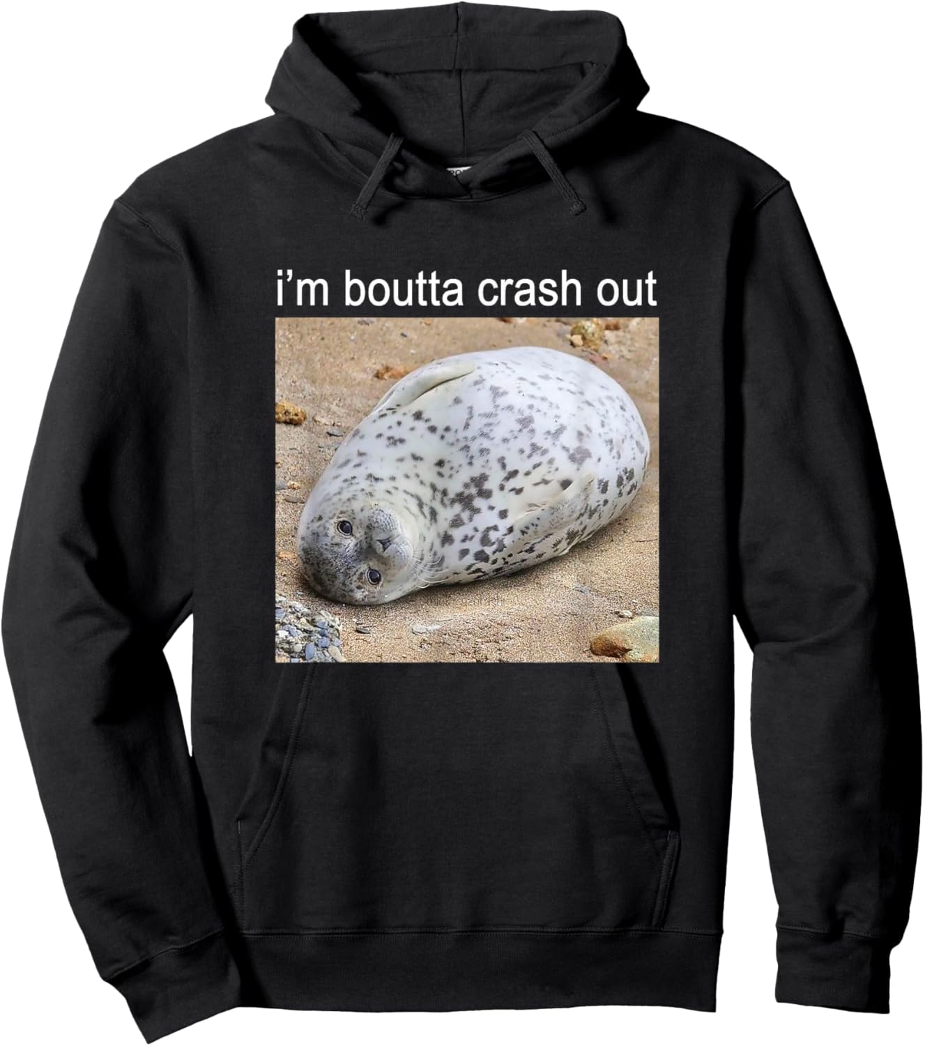 I'm Boutta Crash Out Silly Seal Meme Hoodie - Hoodie | Black