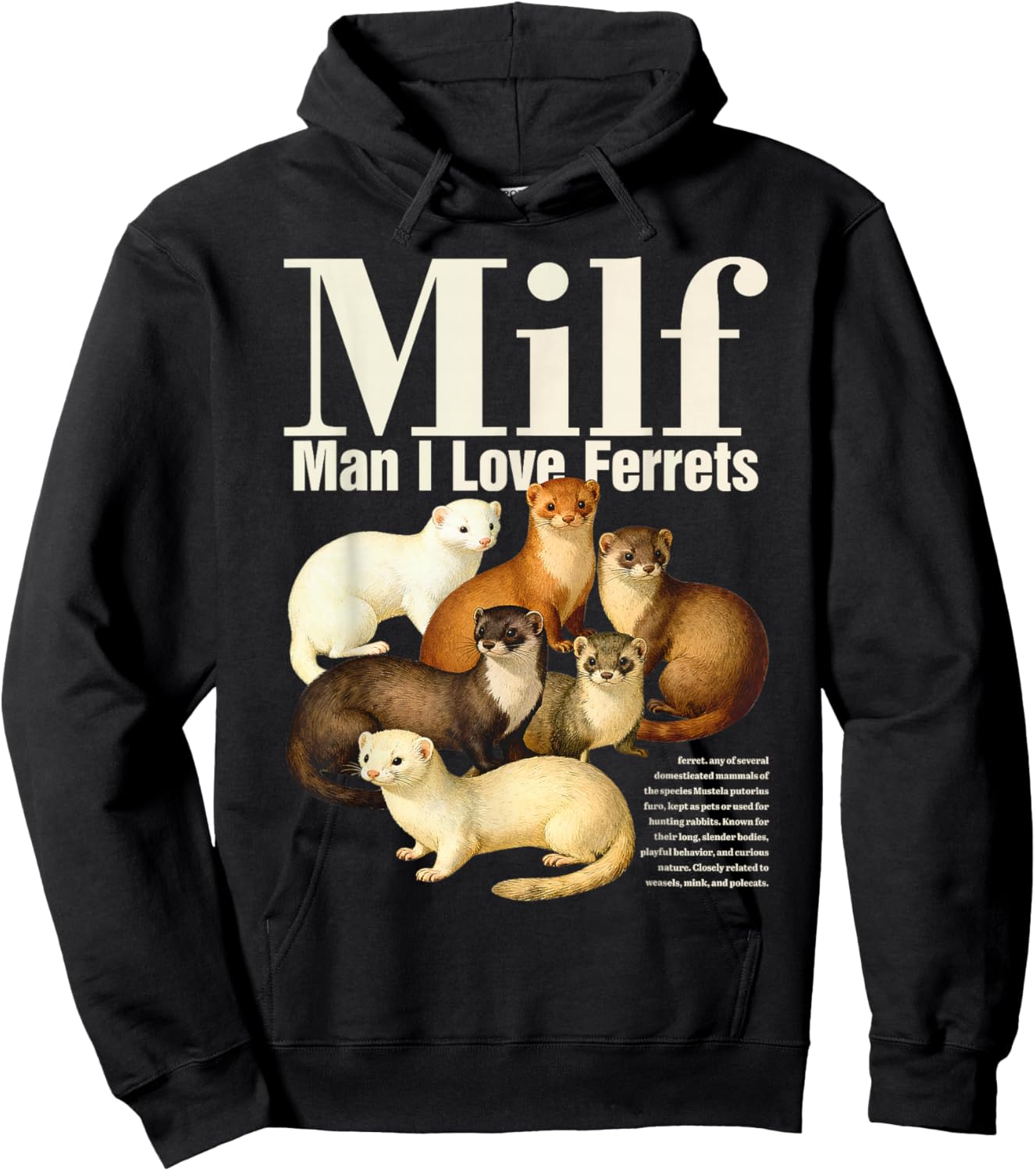 Vintage 90s Man I Love Ferrets Meme Ferret Mom Ferret Lover Hoodie - Hoodie | Black