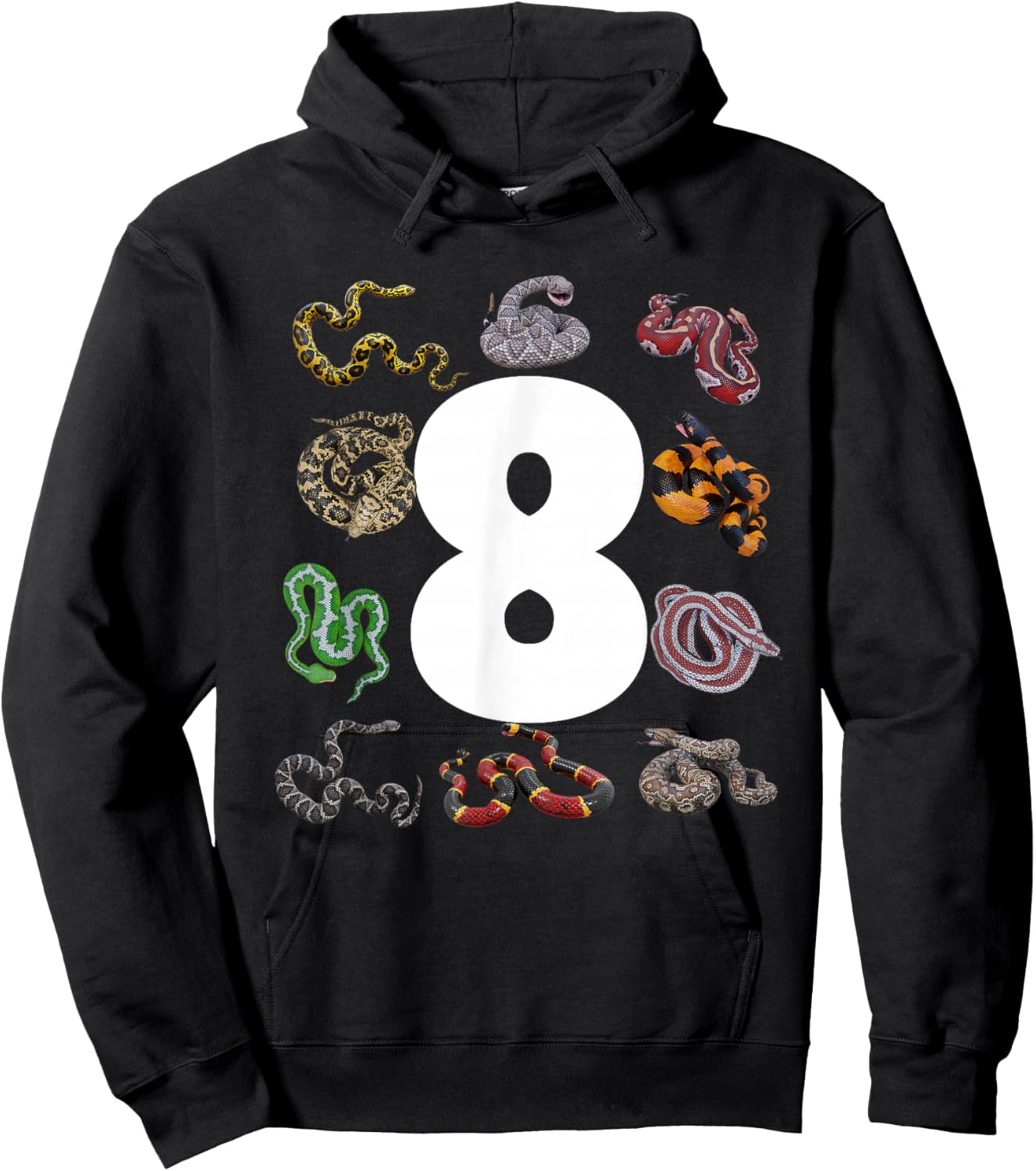 8th Snake Birthday Party Eight Year Old Snake Lover Birthday Hoodie - Hoodie | Black