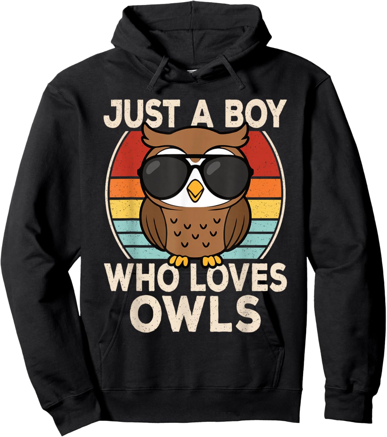 Just A Boy Who Loves Owls Owl Lover Boys Kids Hoodie - Hoodie | Black