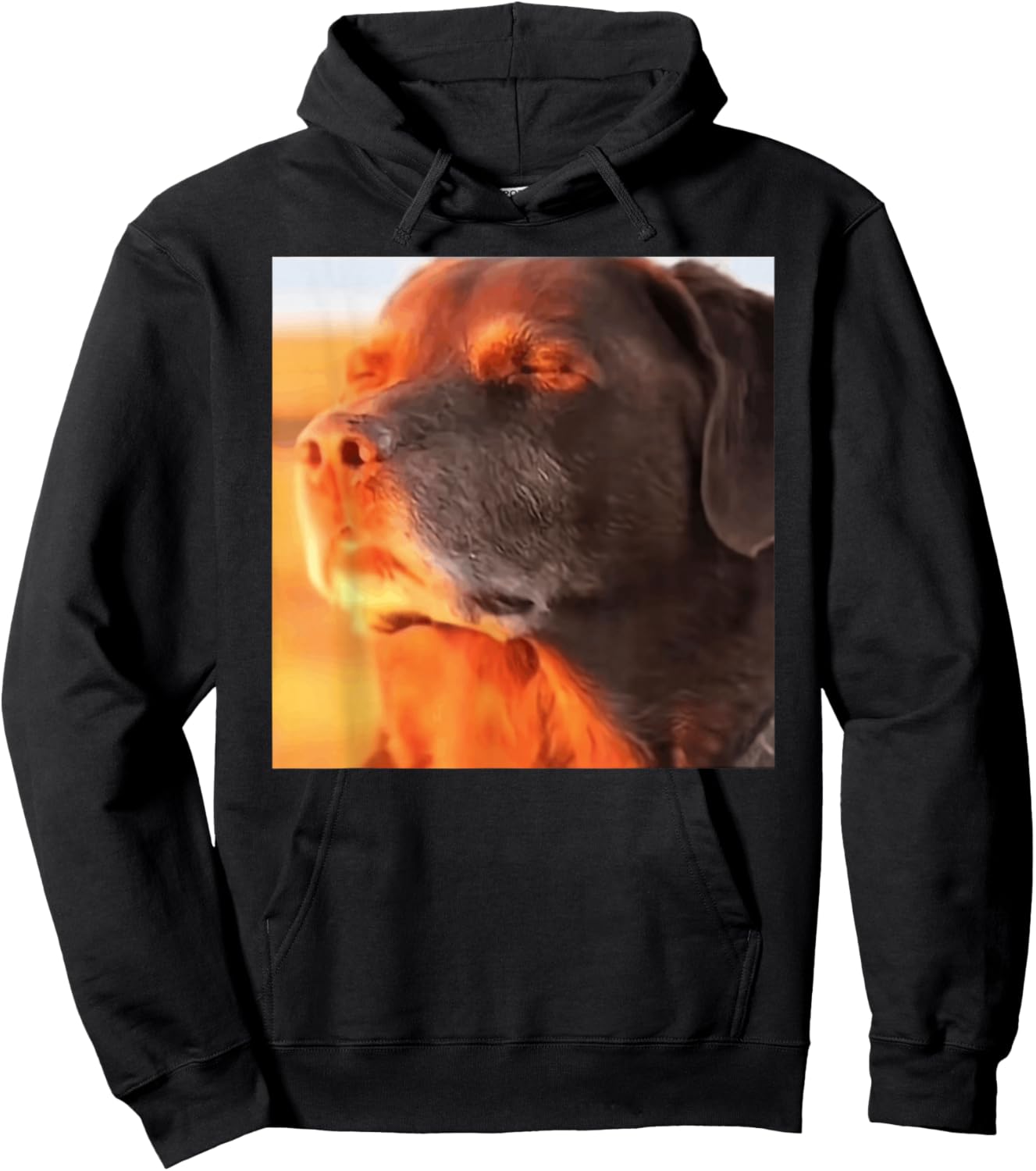 Dog in The Sunset Meme Hoodie - Hoodie | Black