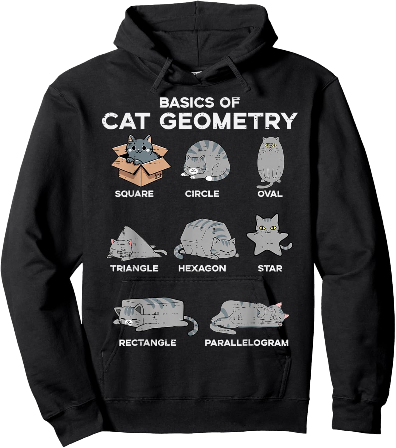 Basics of Cat Geometry Funny Kitten Kitty Math Men Women Kid Hoodie - Hoodie | Black