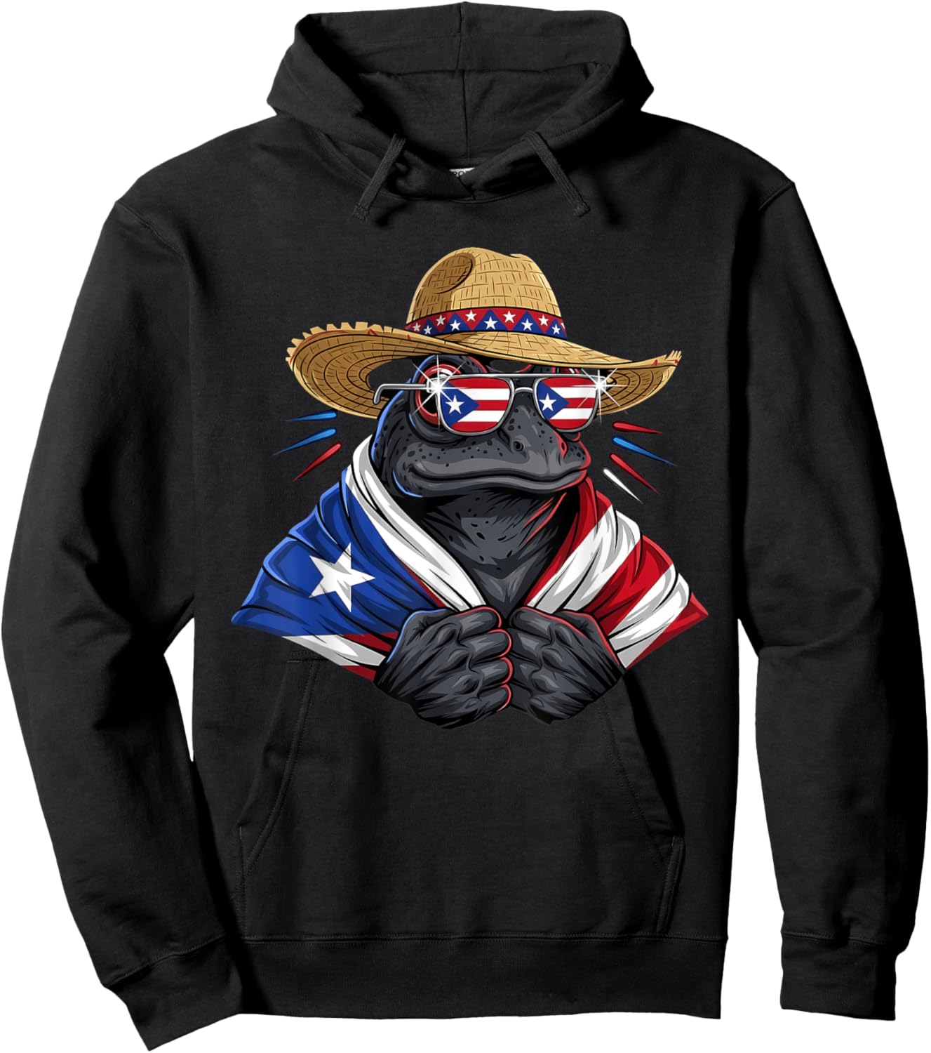 Coqui Frog Puerto Rico Flag Puerto Rican Taino Boricua Hoodie - Hoodie | Black