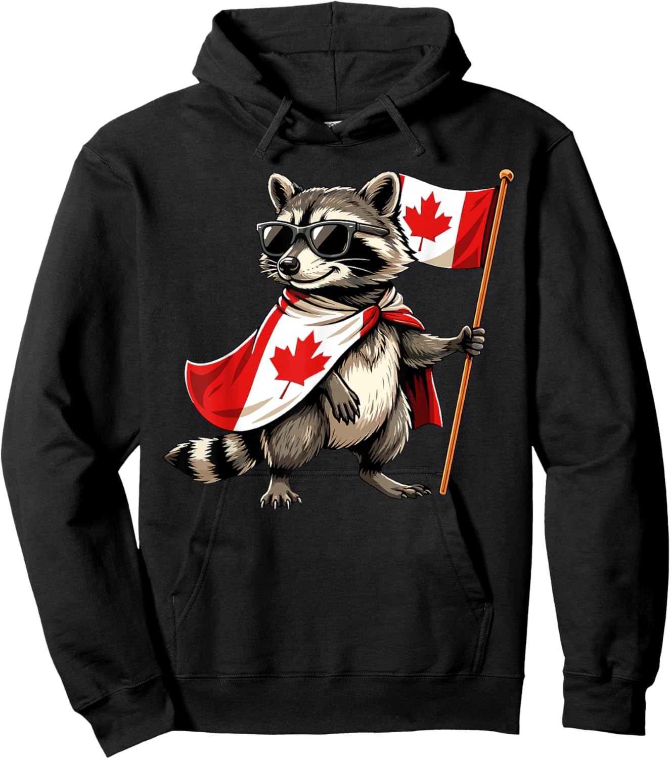 Proud Canadian Raccoon Men Women Kids Funny Canada Hoodie - Hoodie | Black