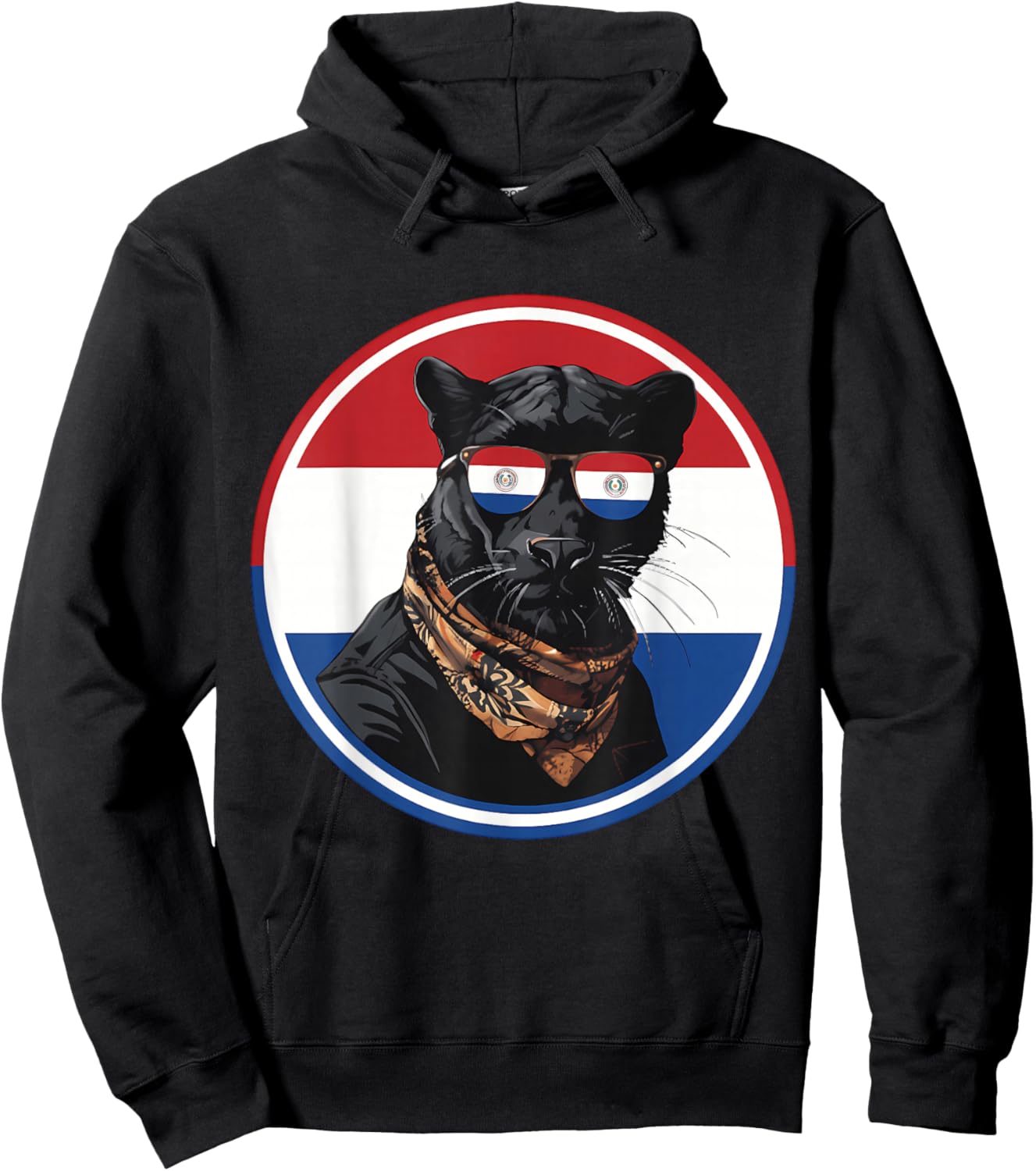 Paraguay Flag Paraguayan Roots Hoodie - Hoodie | Black