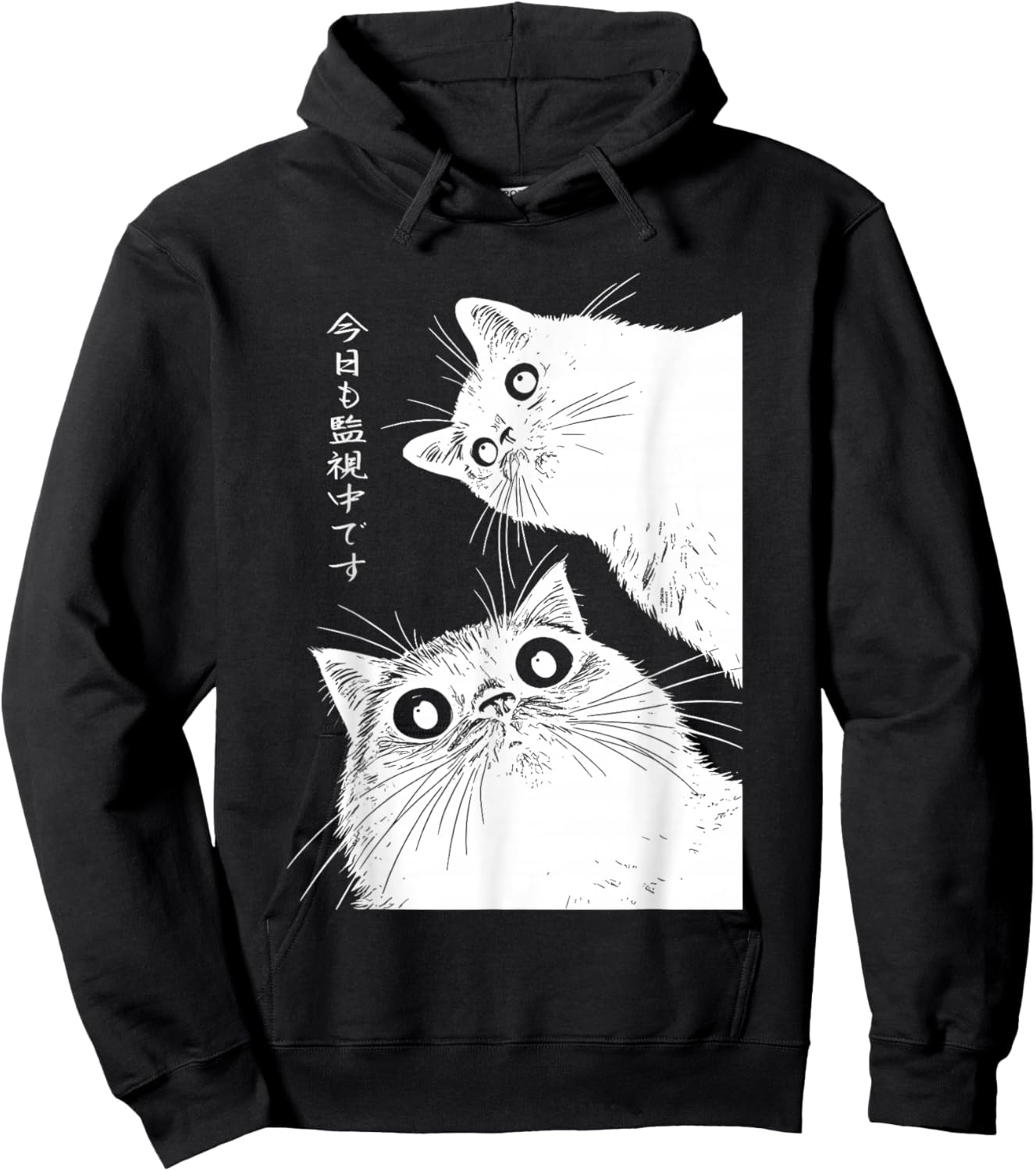 The cat is Watching Today Hoodie - Hoodie | Black