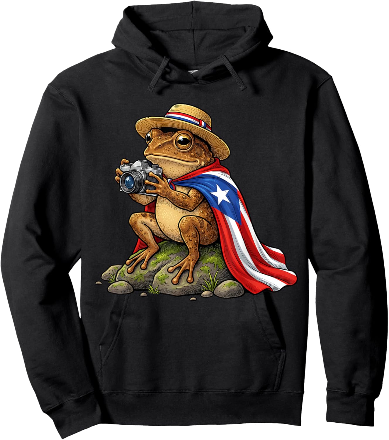 Funny Coqui Frog Puerto Rico Boricua Hispanic Culture Hoodie - Hoodie | Black