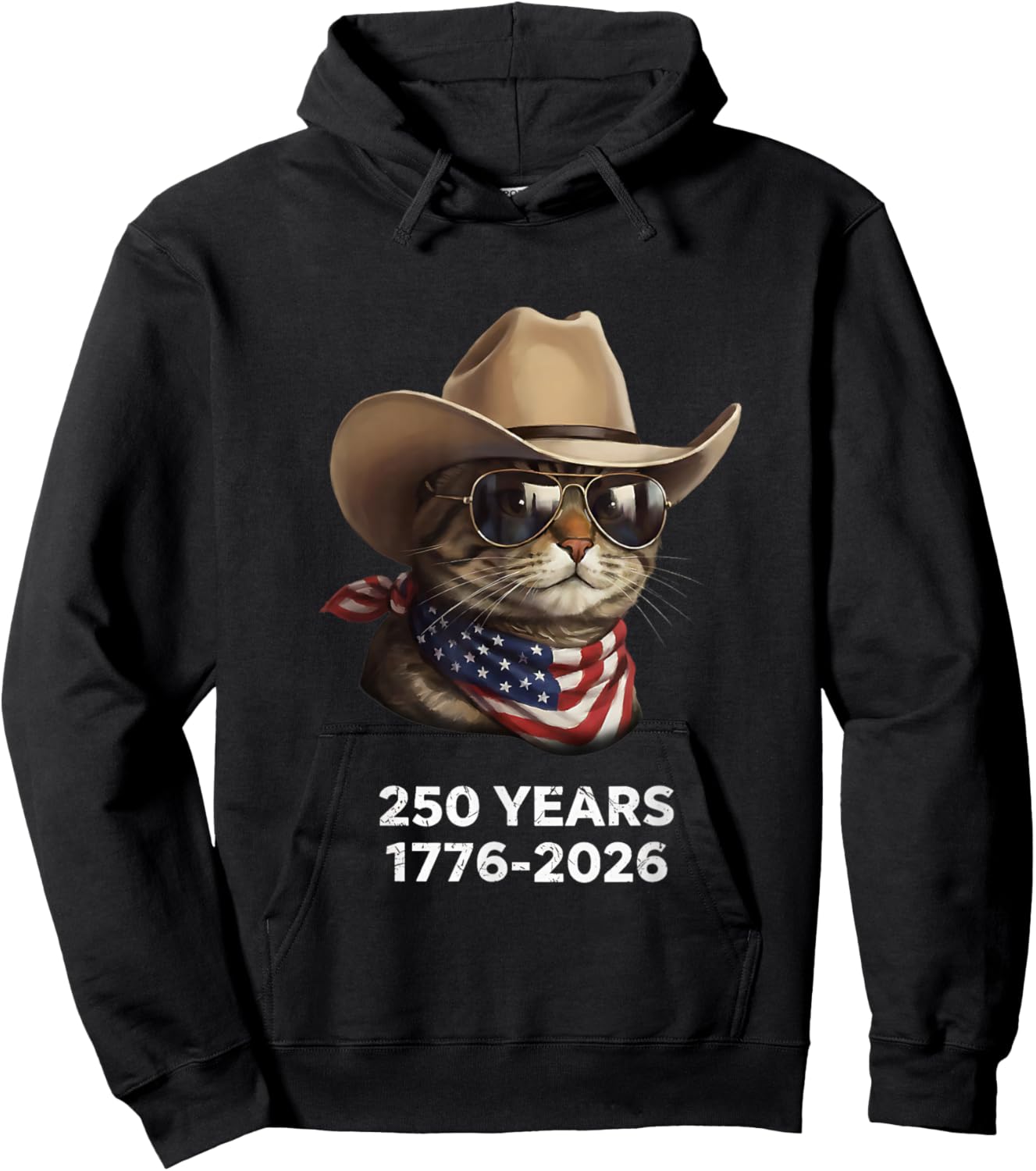 Cat Flag 250 Years 1776-2026 250th Birthday Hoodie - Hoodie | Black