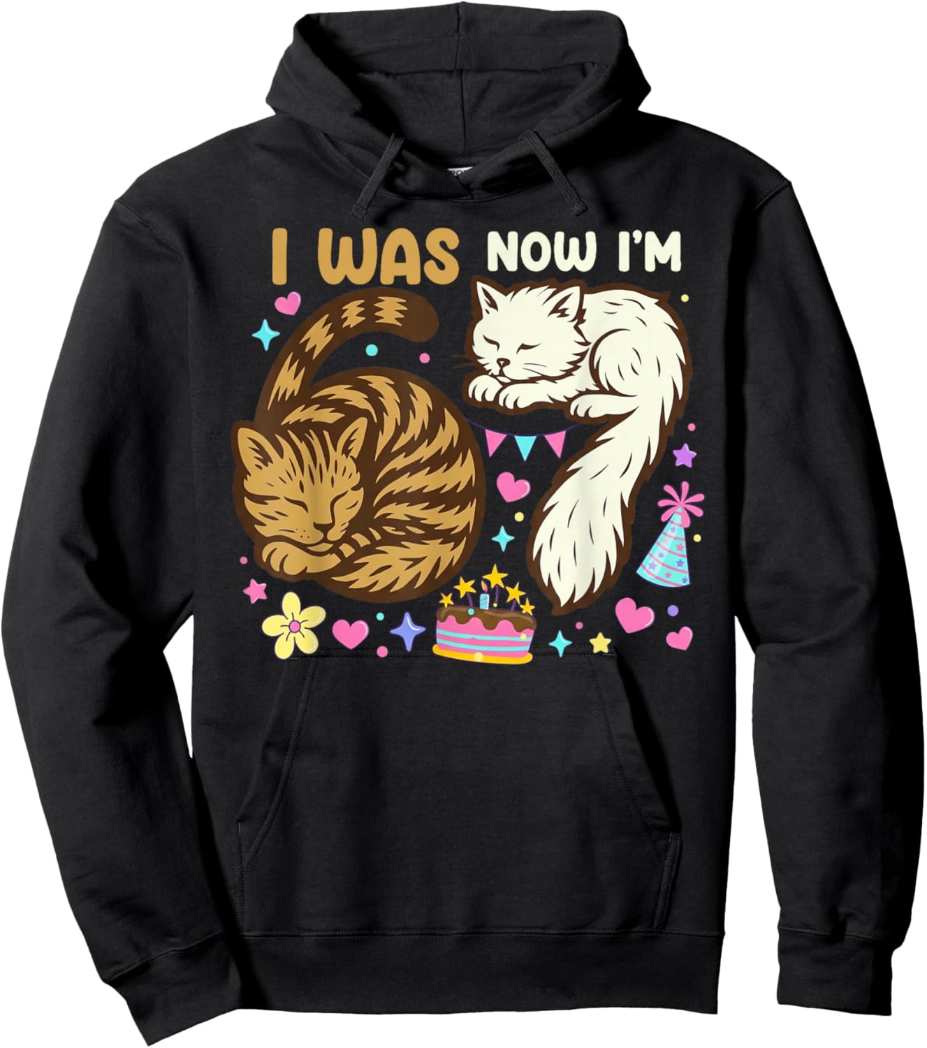 I was 6 Now I'm 7 Birthday 7 Years Old Birthday Funny Cats Hoodie - Hoodie | Black