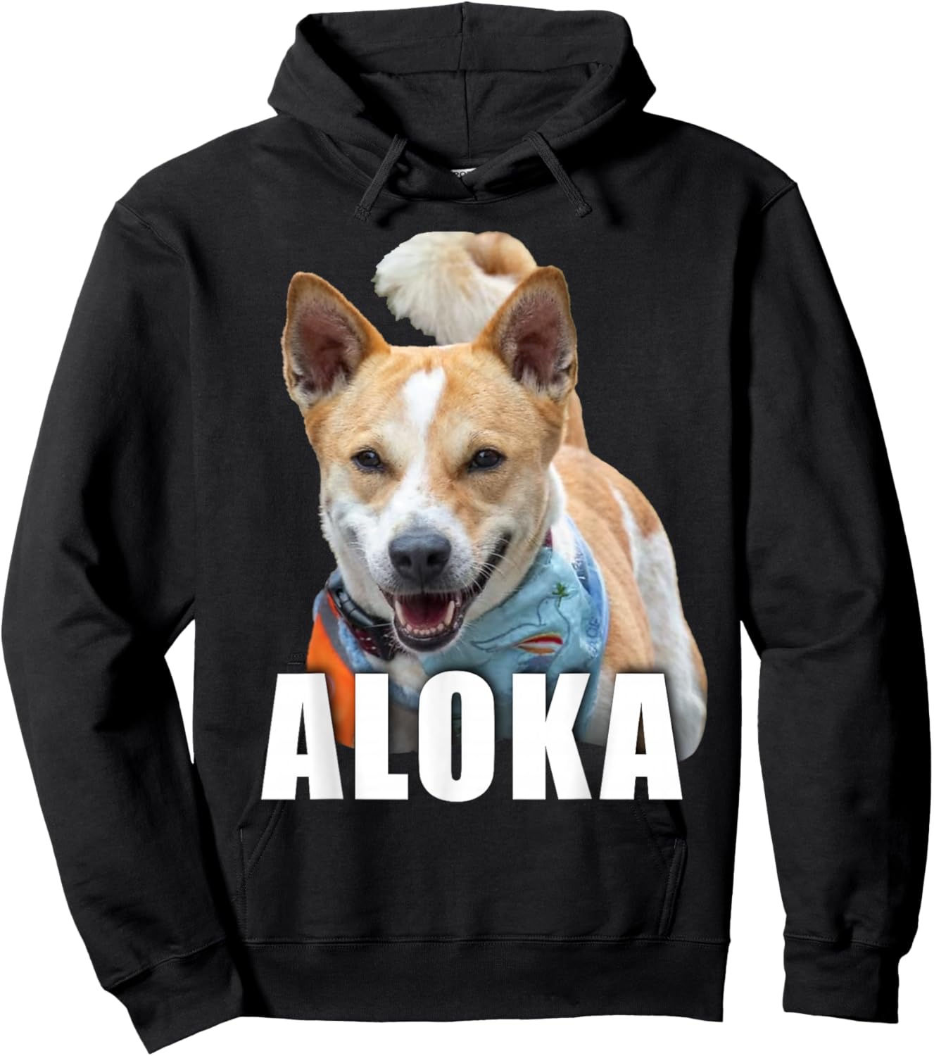 Aloka – The Walk for Peace Monk Dog Spreading Hope Hoodie - Hoodie | Black