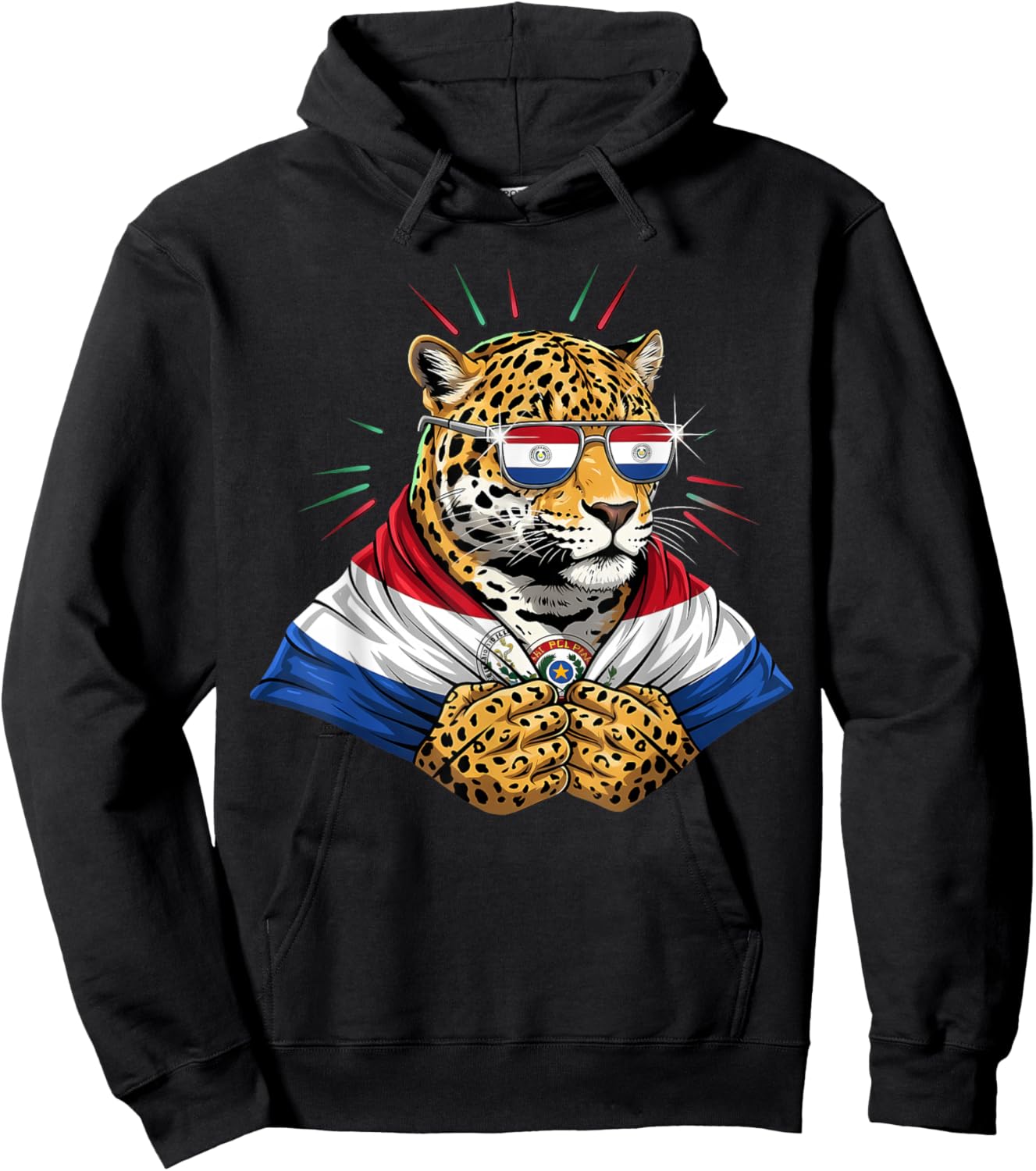 Paraguay Roots Leopard Paraguayan Flag Hoodie - Hoodie | Black