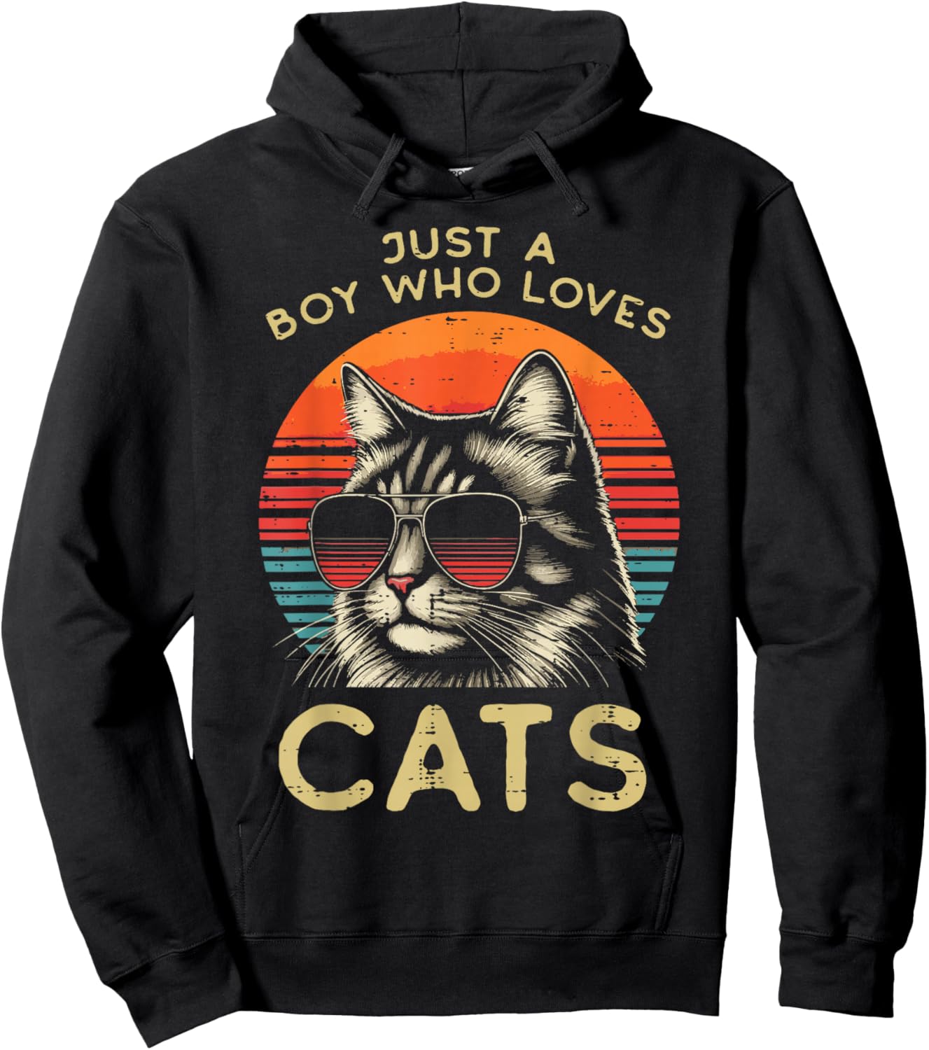 Just Boy Who Loves Cats Retro Kitten Kitty Boys Kids Men Hoodie - Hoodie | Black