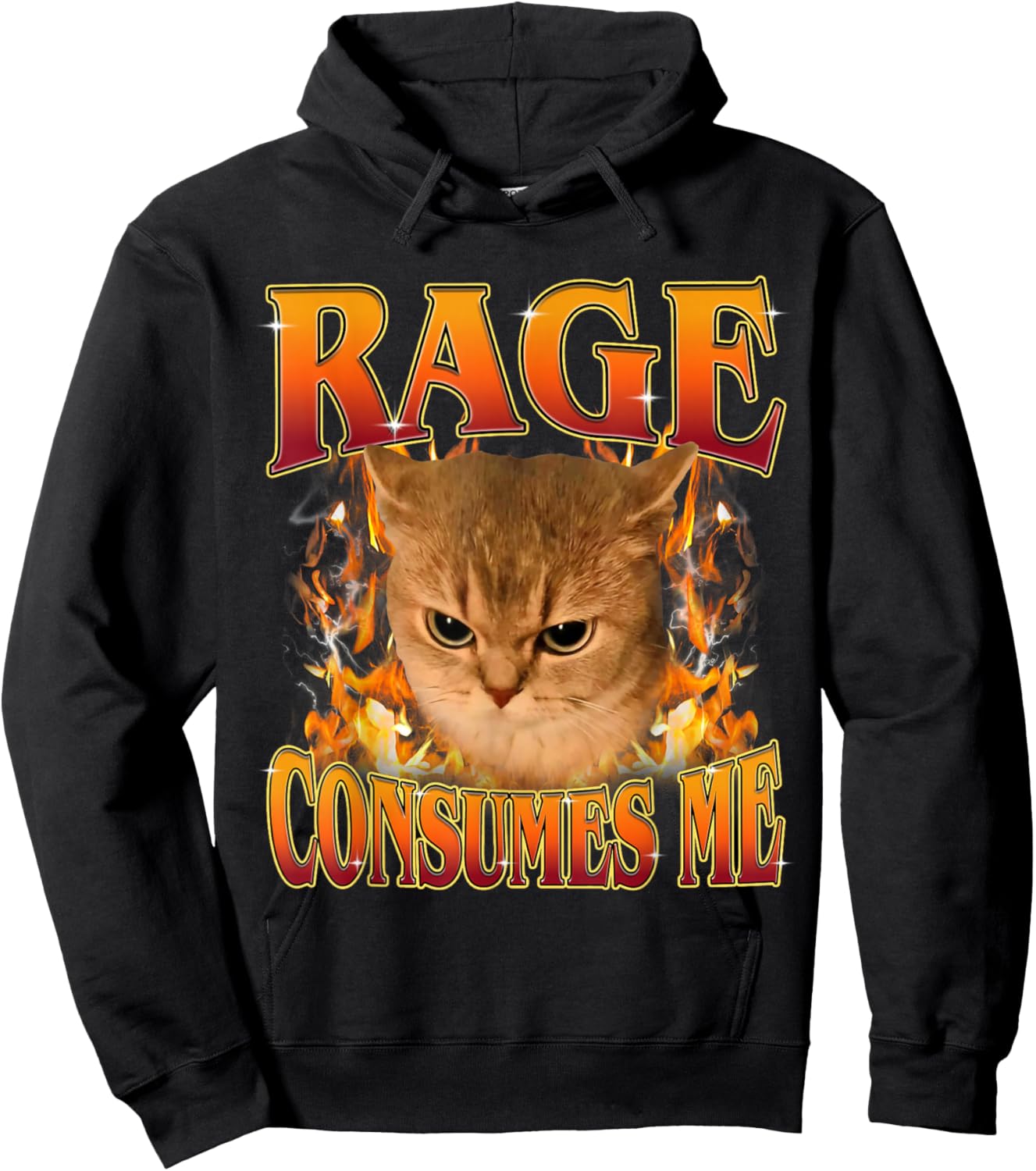 Rage Consumes Me Funny Silly Y2K Cat Meme Women Men Hoodie - Hoodie | Black