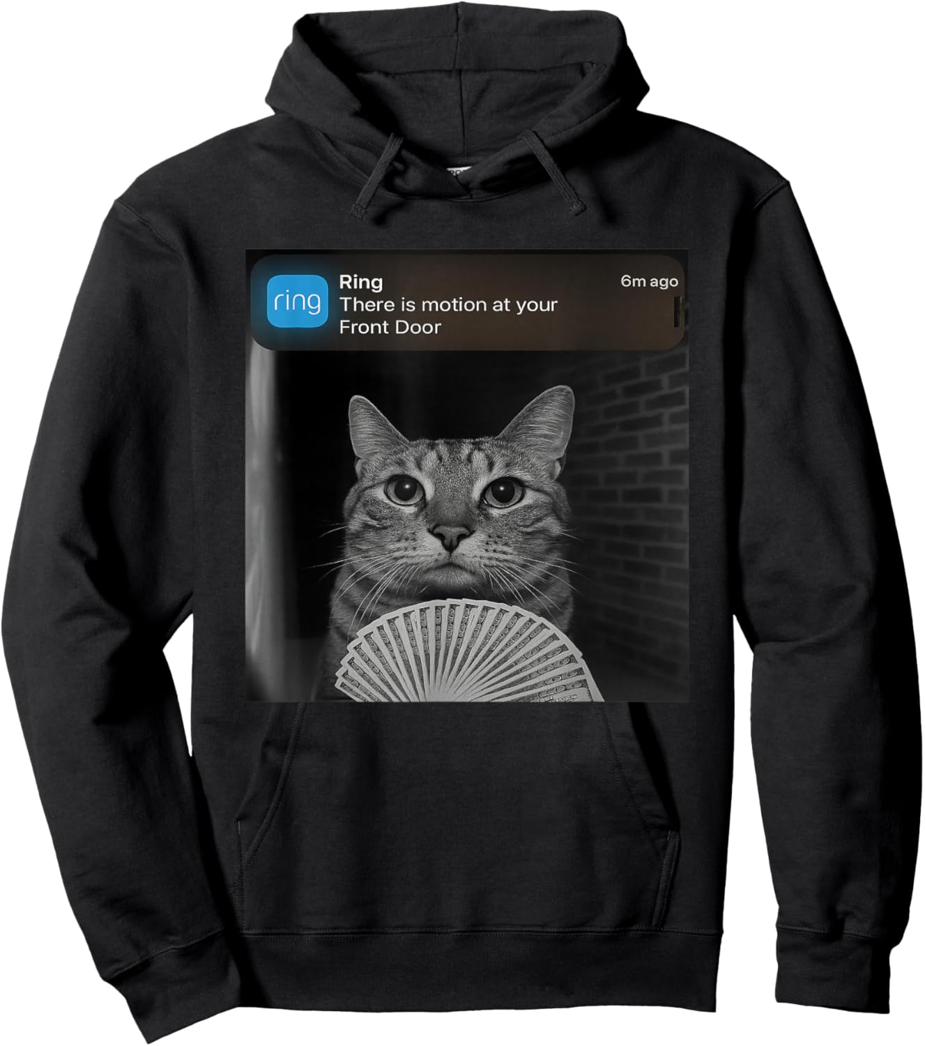 Ring There is Motion at Your Front Door Funny cat Meme Hoodie - Hoodie | Black