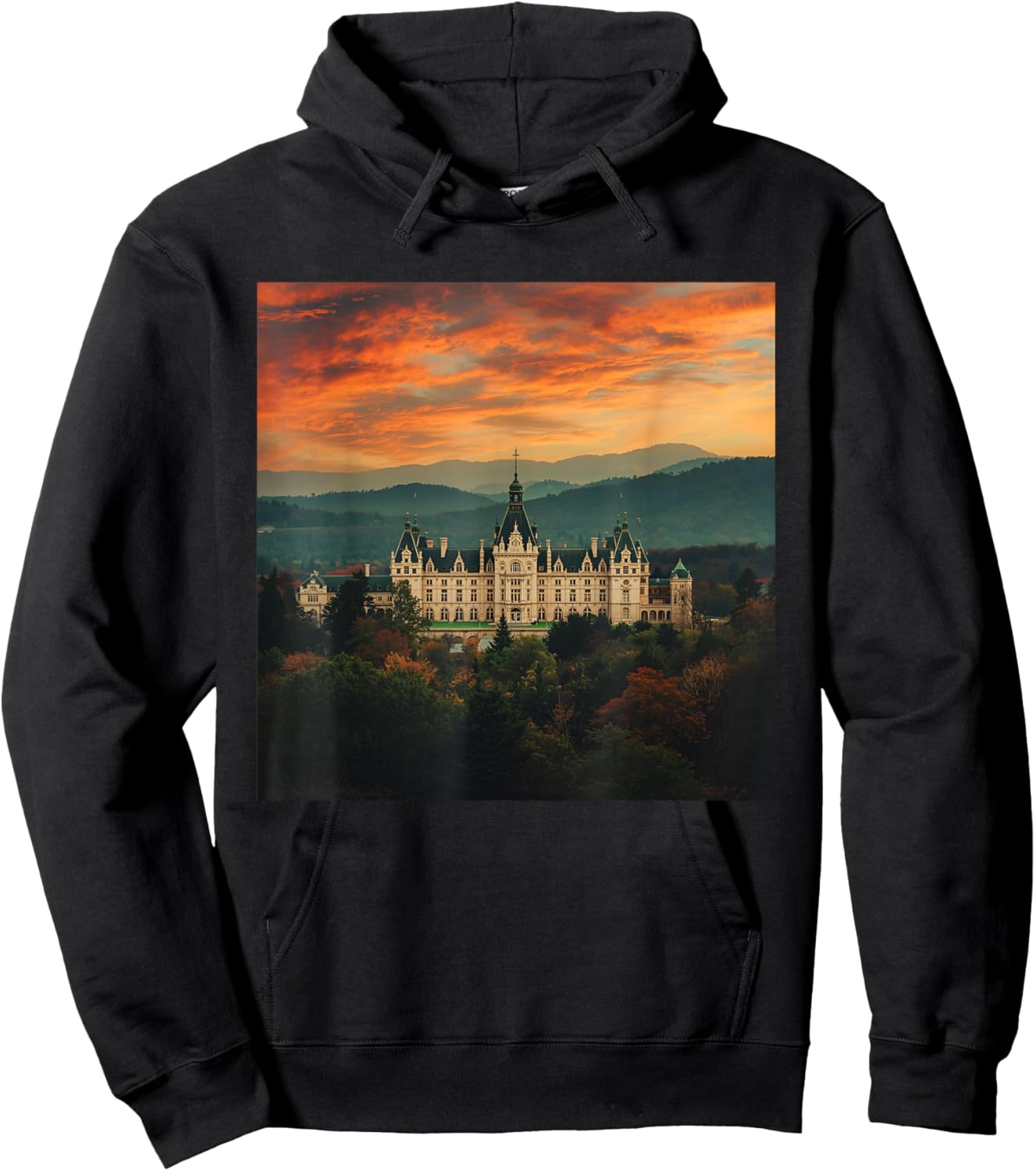 Biltmore at Sunset Hoodie - Hoodie | Black
